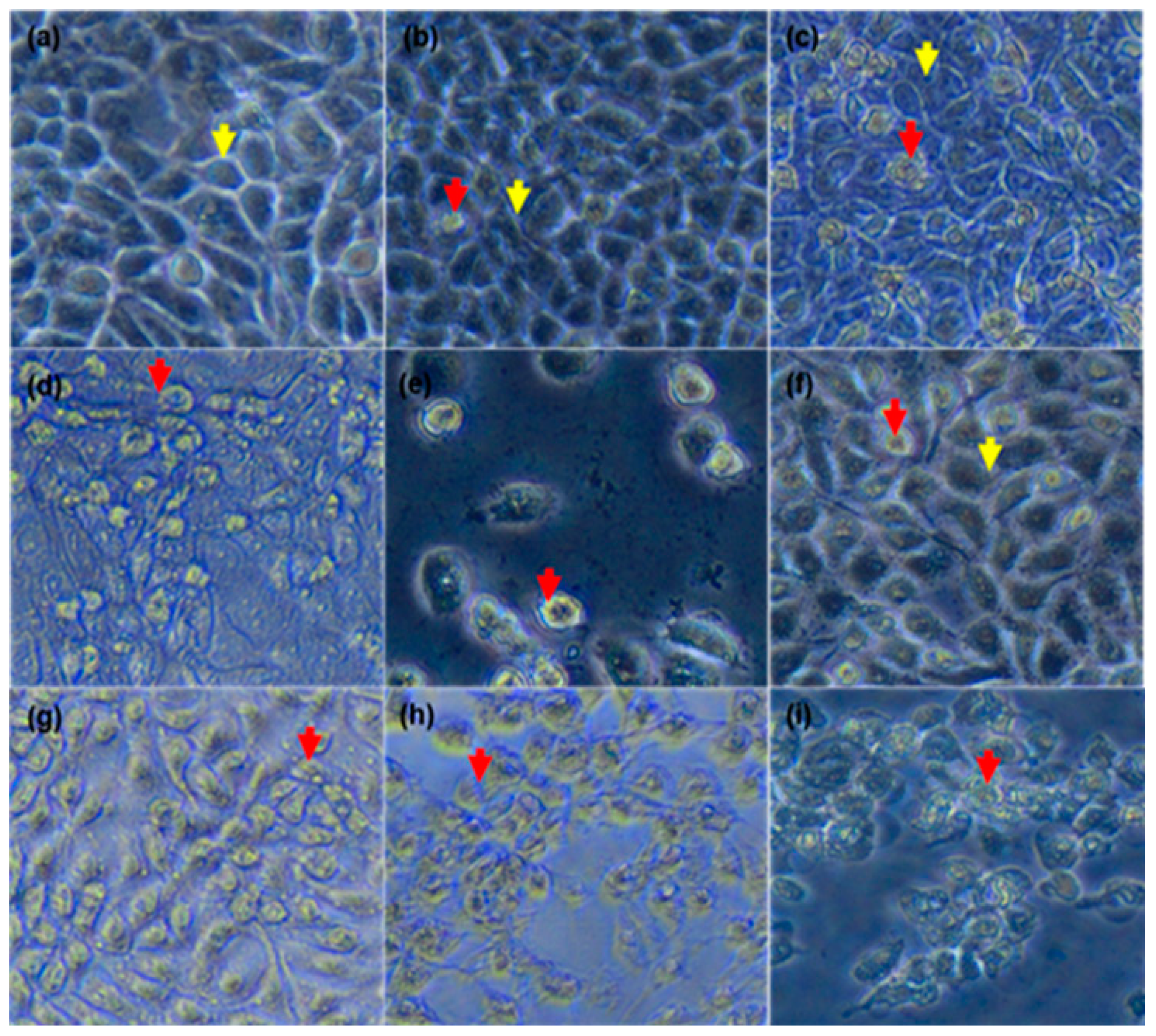 Genes 10 00041 g003 Genes 10 00041 g003