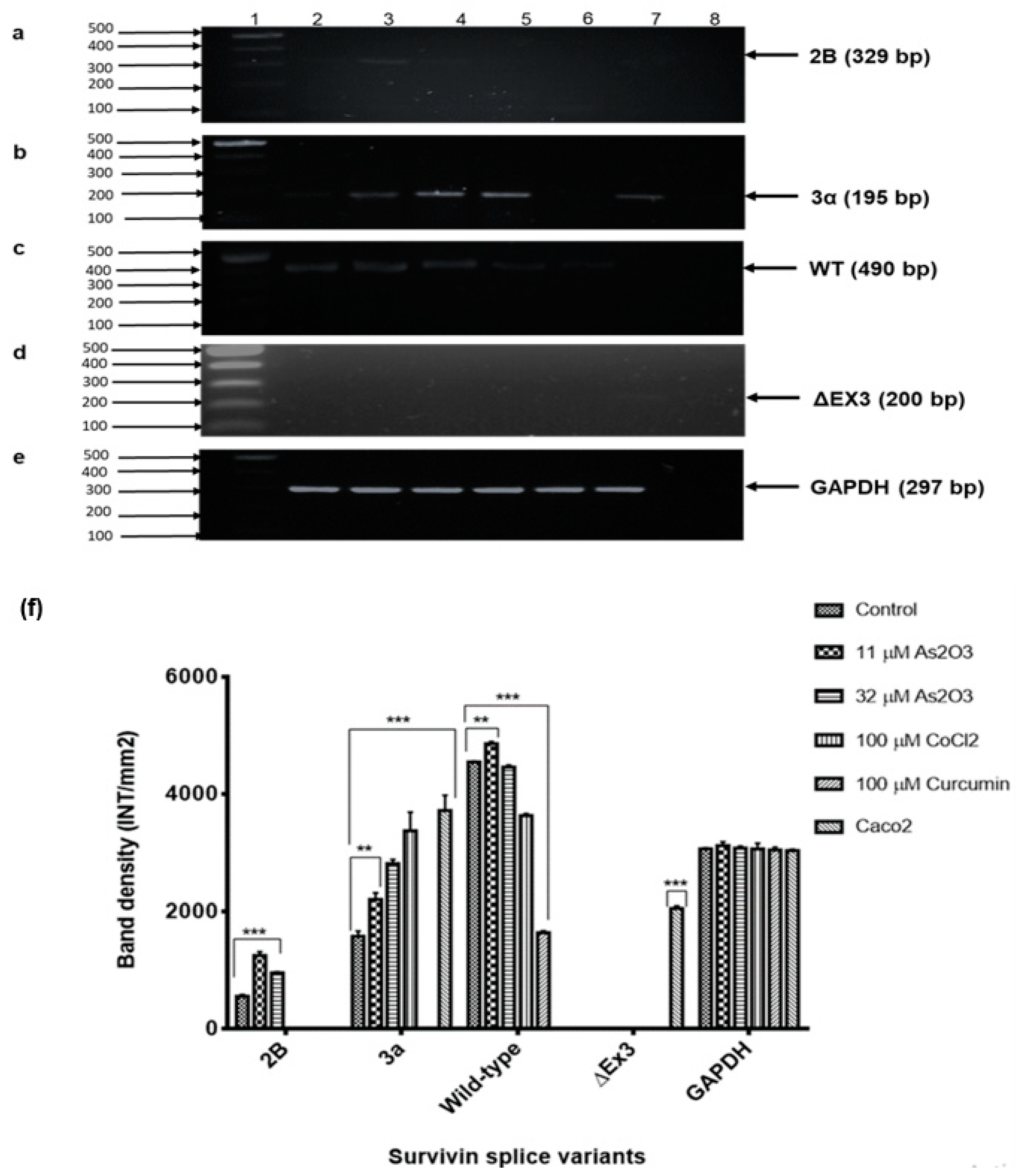Genes 10 00041 g011 Genes 10 00041 g011