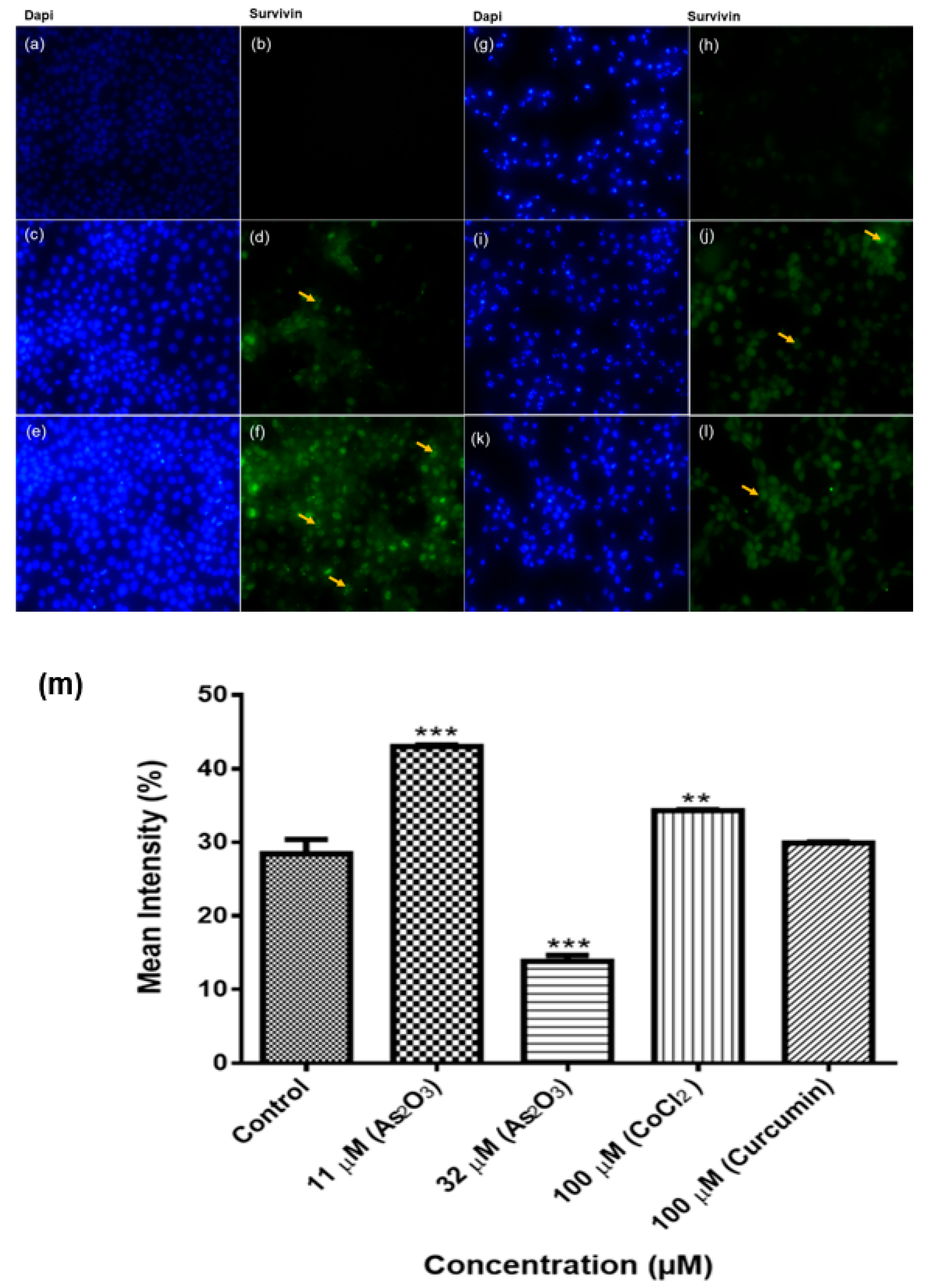 Genes 10 00041 g012 Genes 10 00041 g012