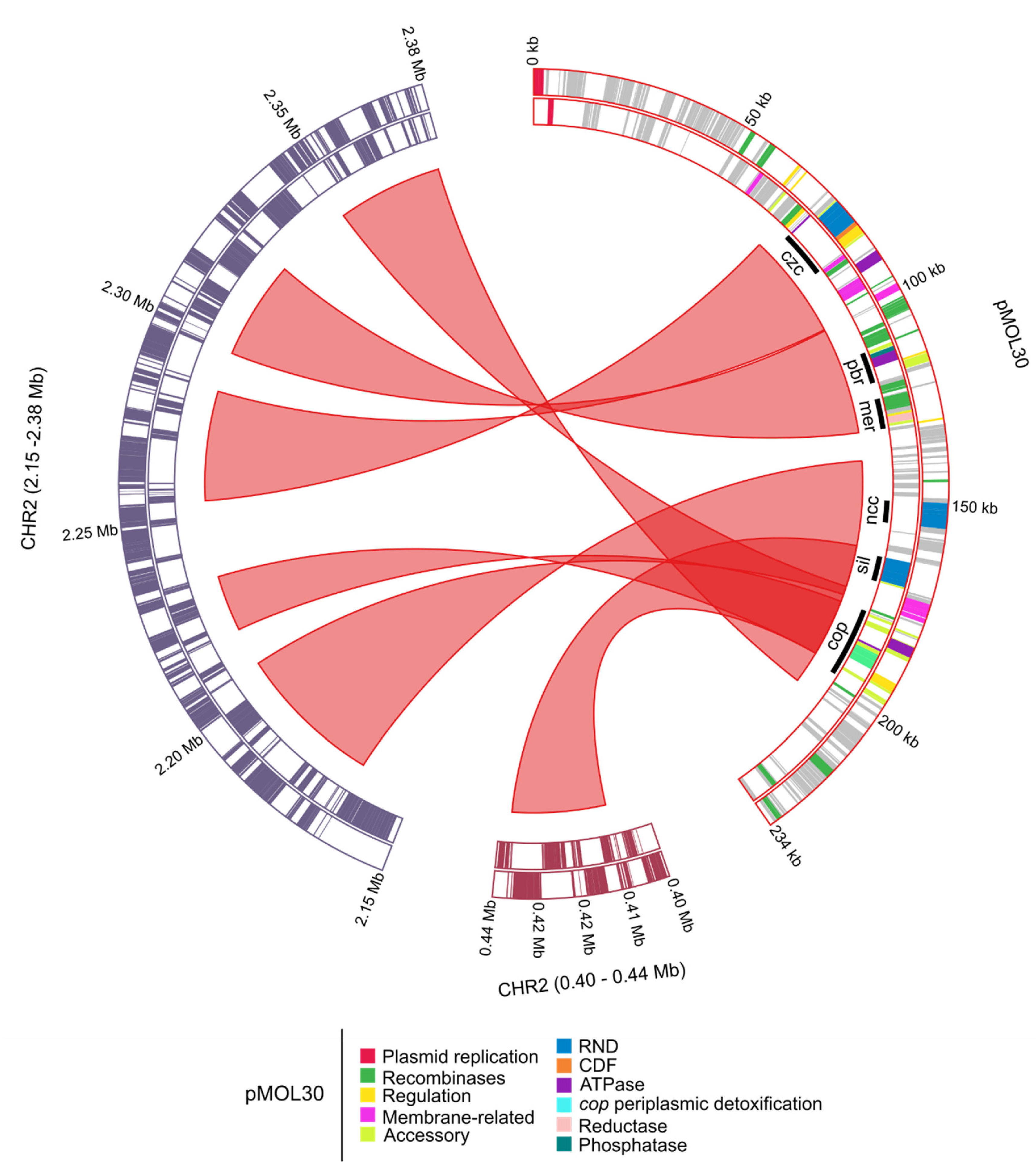 Genes 10 00063 g003 Genes 10 00063 g003