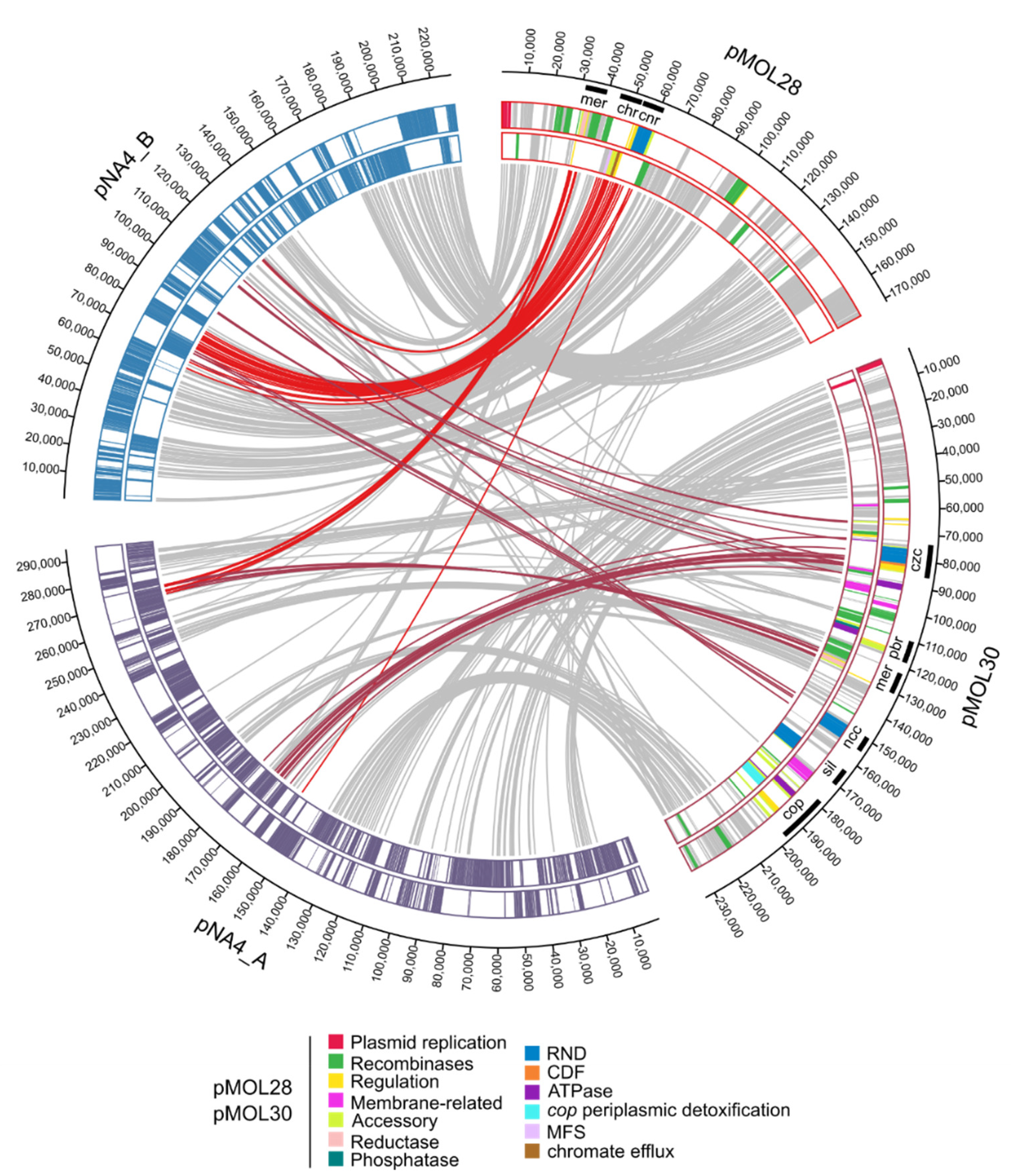 Genes 10 00063 g004 Genes 10 00063 g004