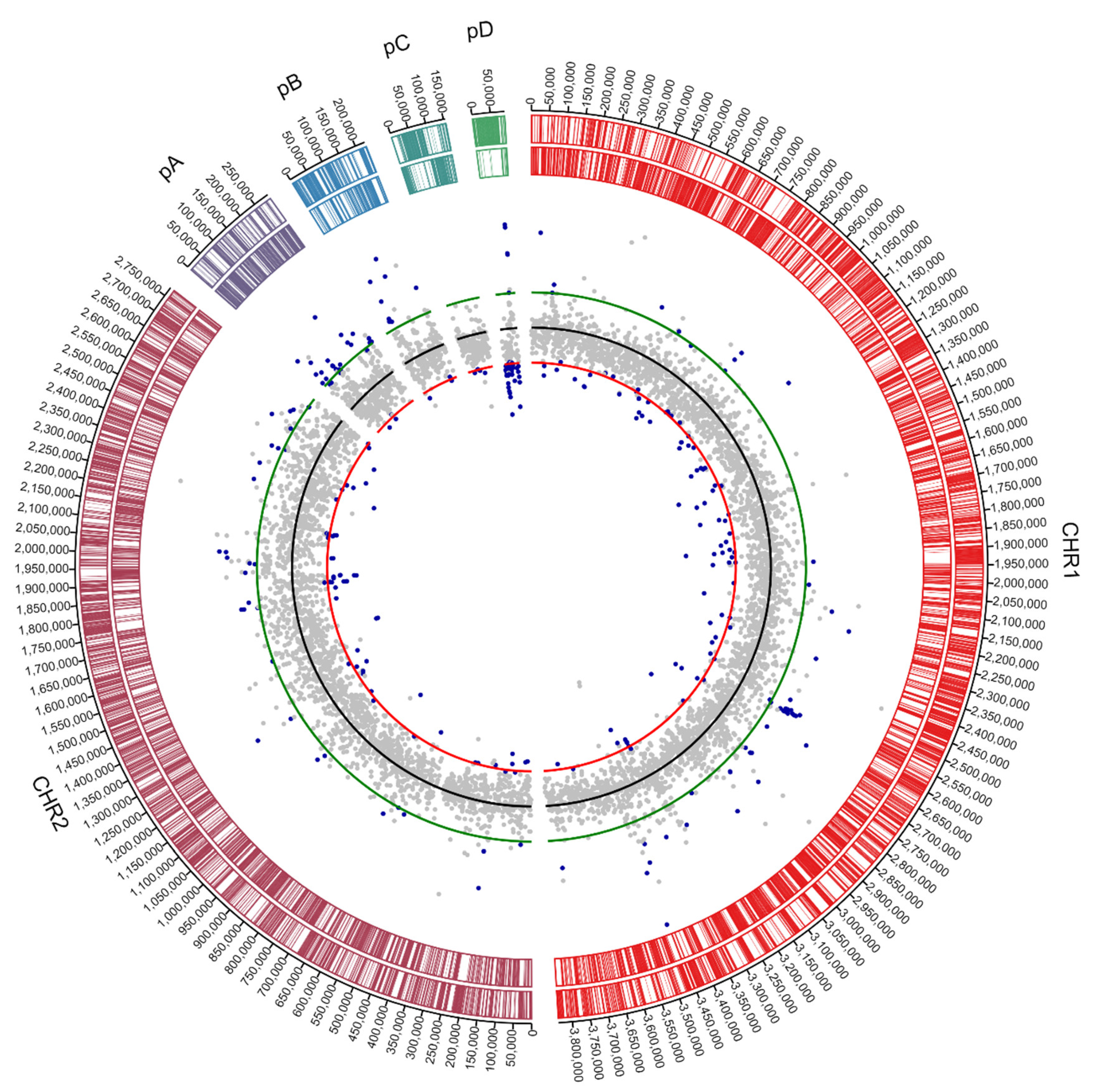 Genes 10 00063 g007 Genes 10 00063 g007