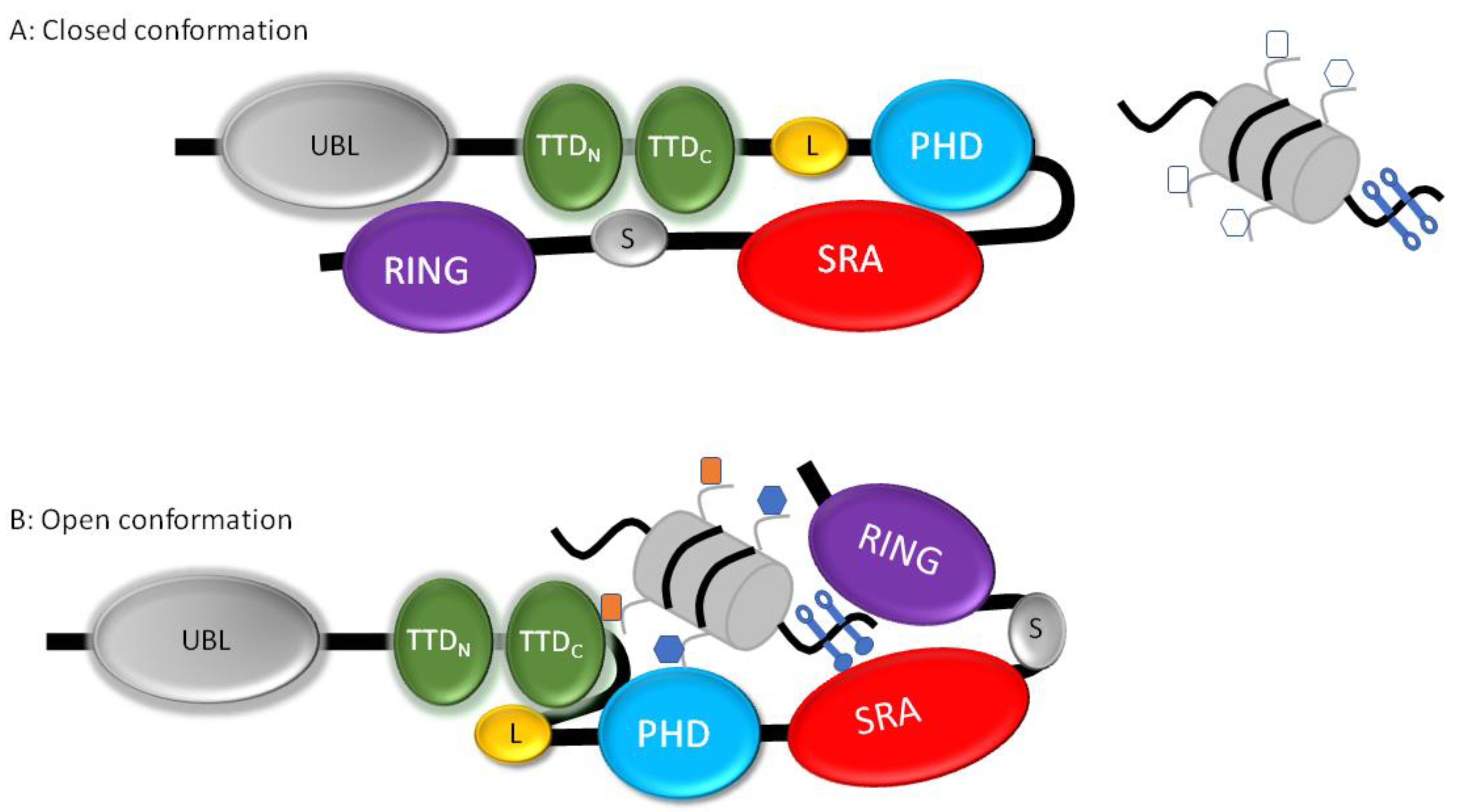 Genes 10 00065 g001
