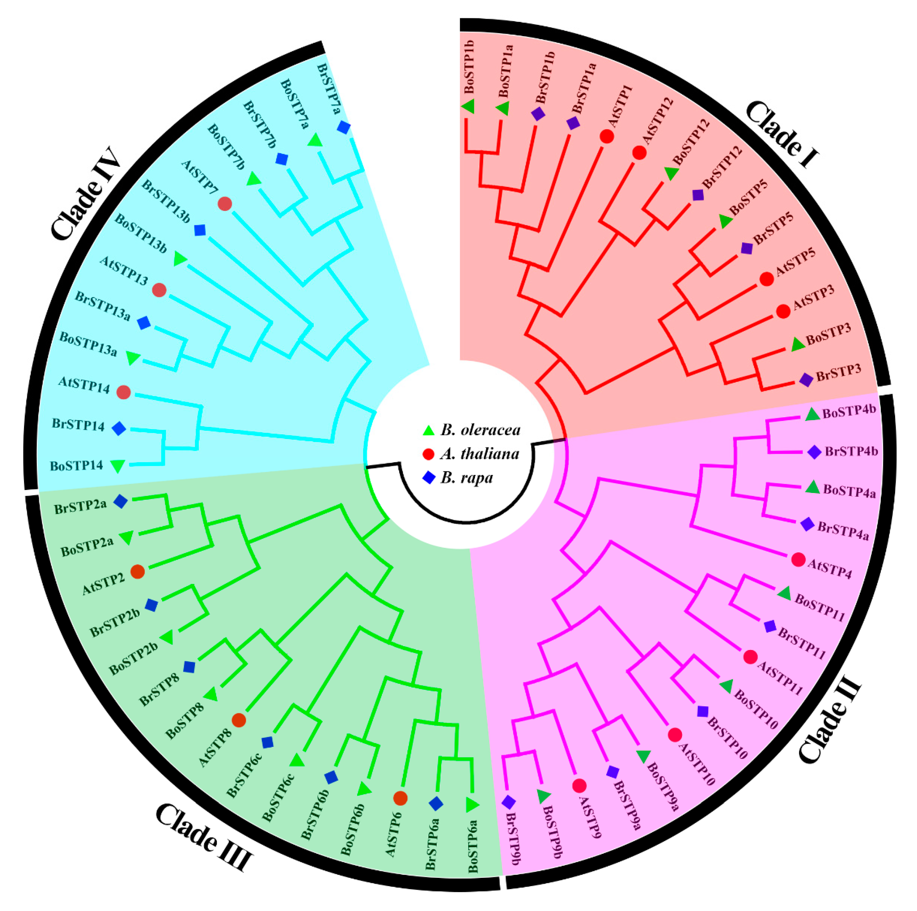 Genes 10 00071 g001 Genes 10 00071 g001