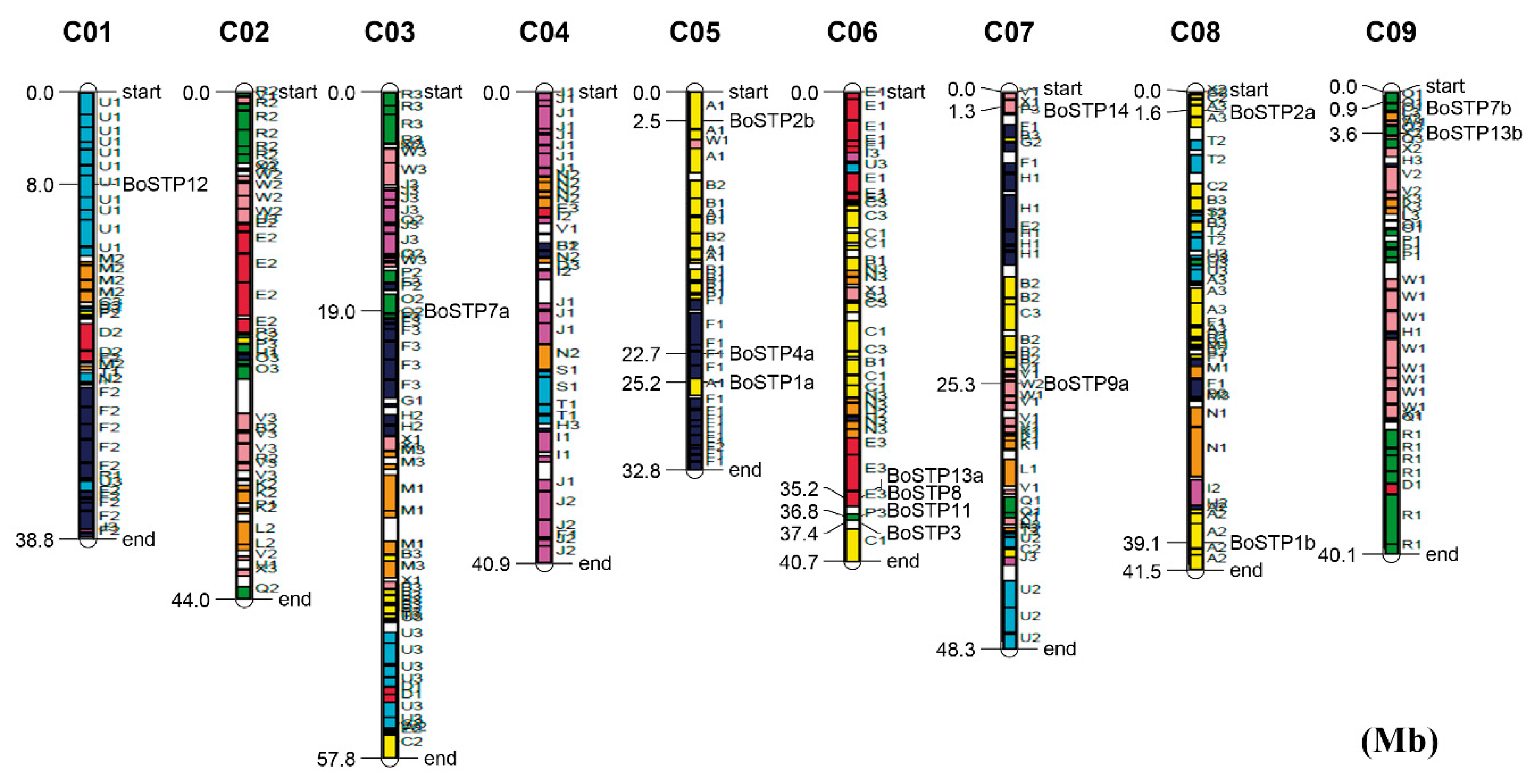 Genes 10 00071 g002 Genes 10 00071 g002