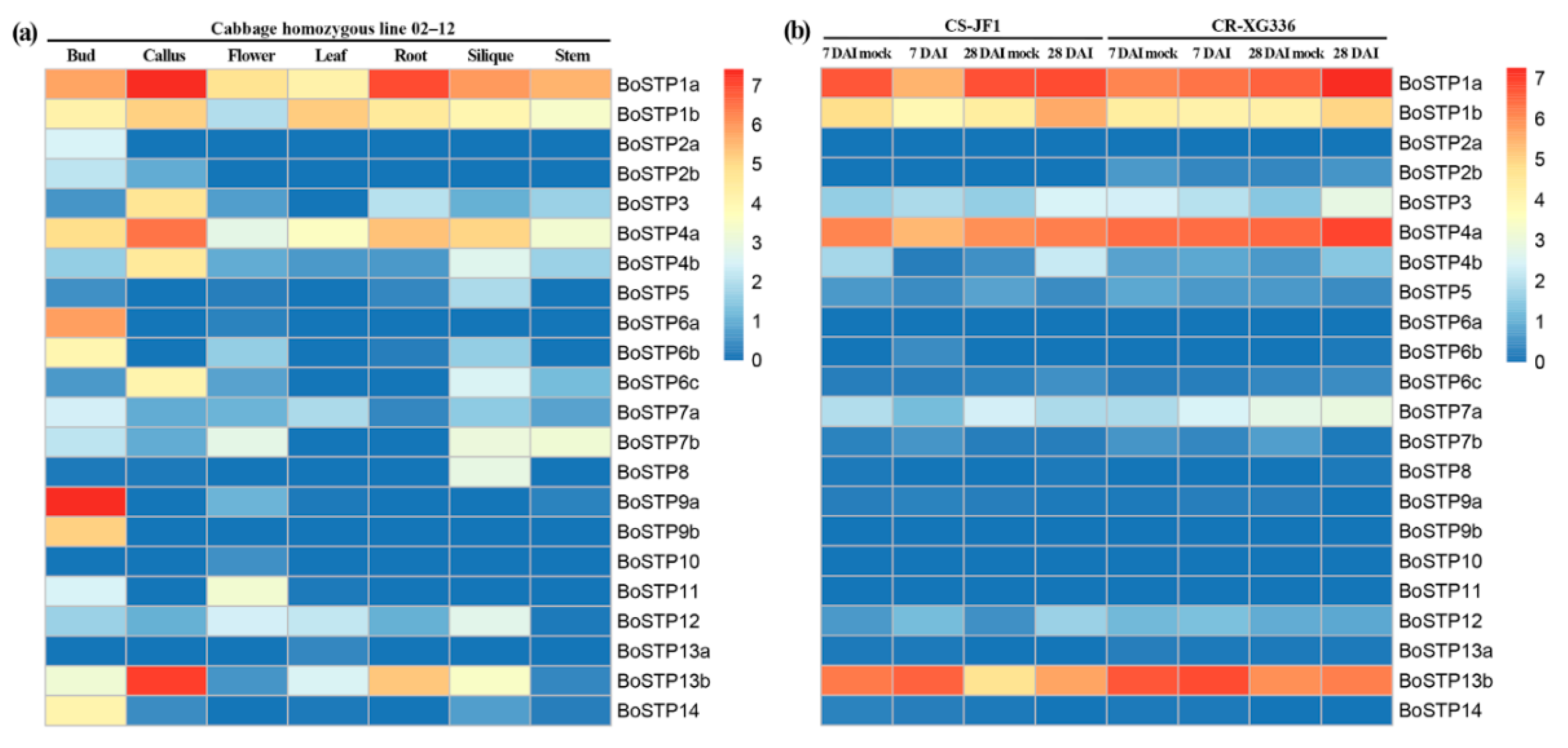 Genes 10 00071 g006 Genes 10 00071 g006