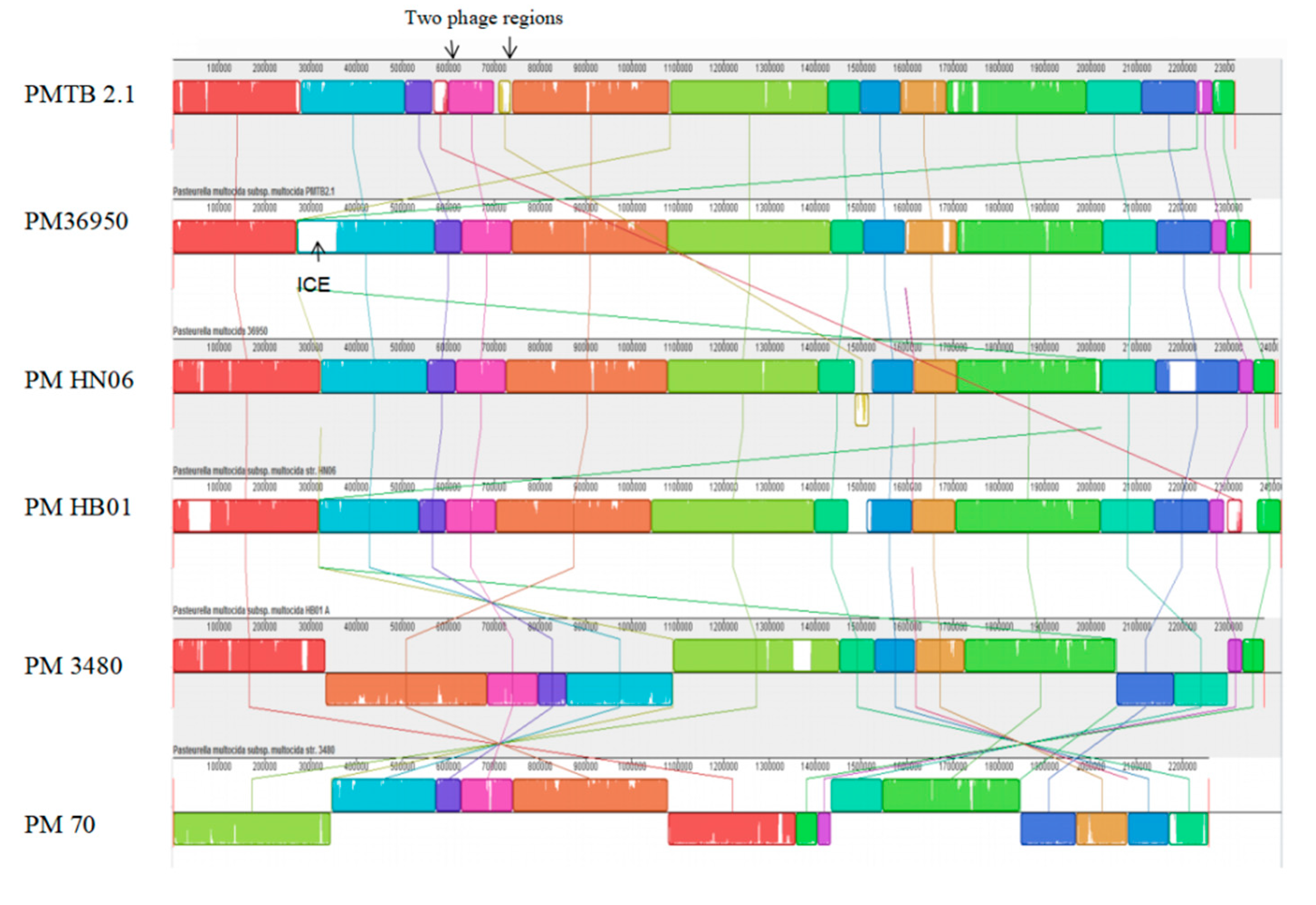 Genes 10 00081 g002 Genes 10 00081 g002
