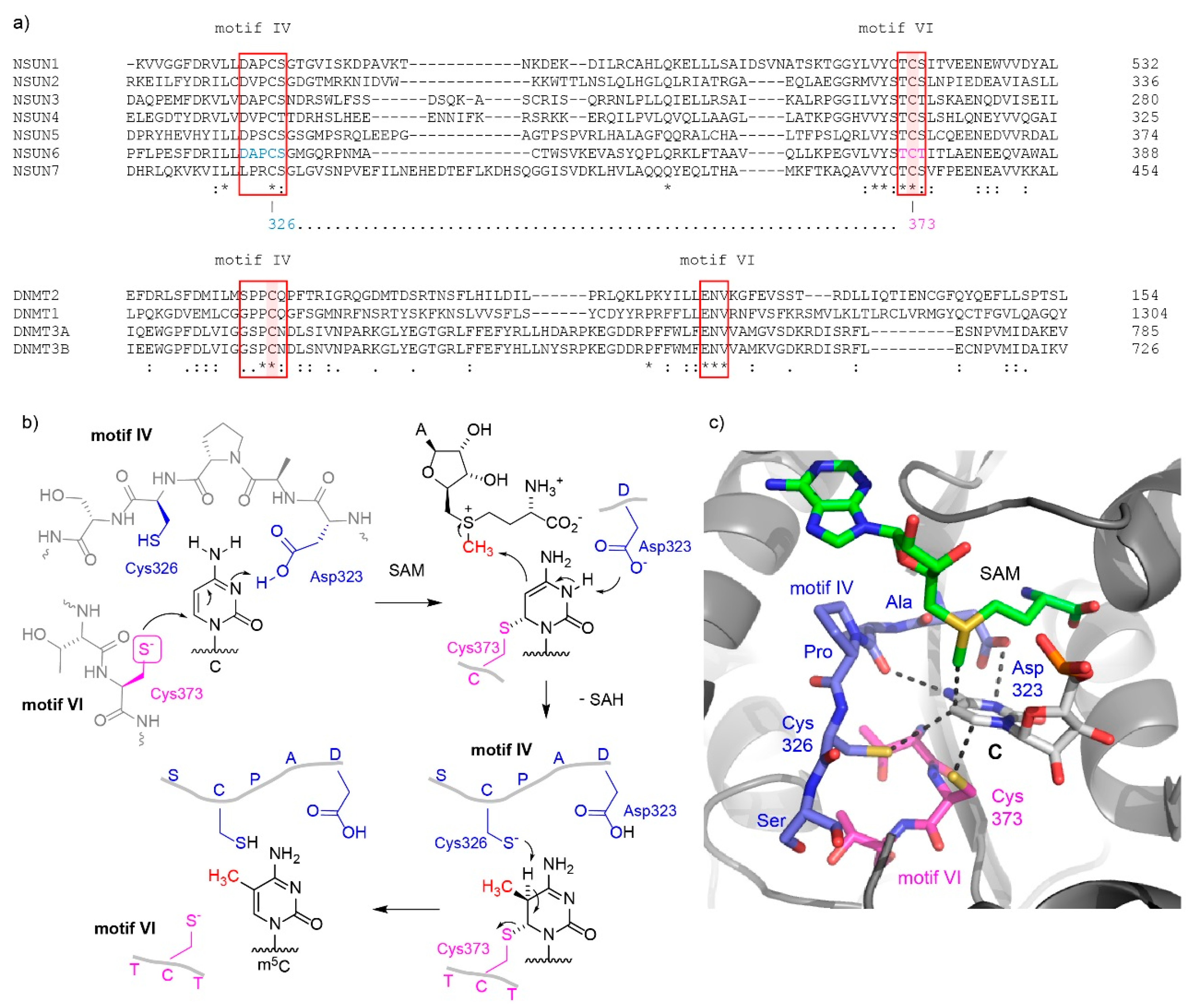 Genes 10 00102 g001 Genes 10 00102 g001