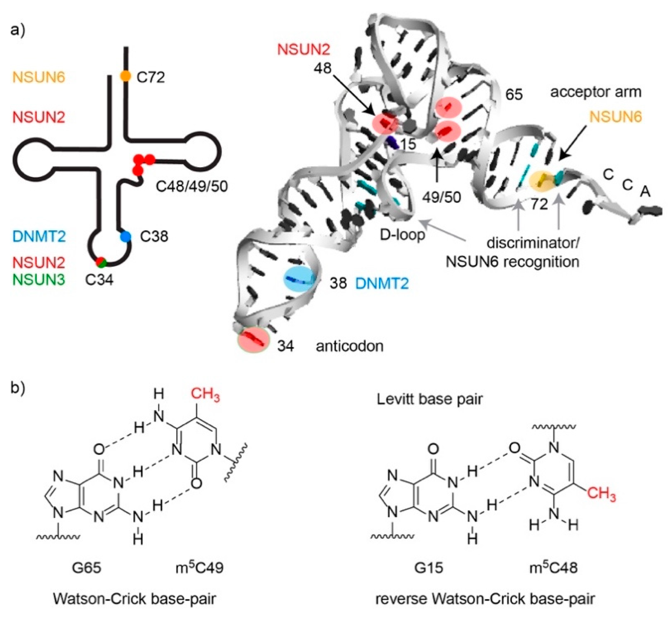 Genes 10 00102 g003 Genes 10 00102 g003