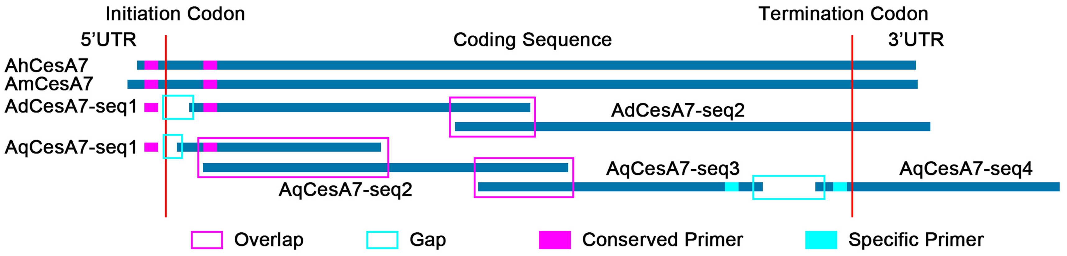 Genes 10 00103 g003 Genes 10 00103 g003