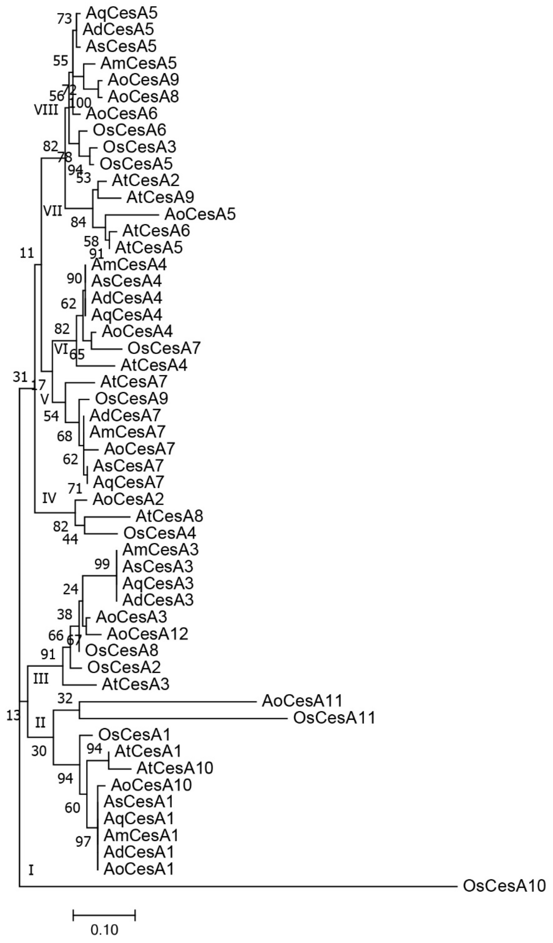Genes 10 00103 g004 Genes 10 00103 g004