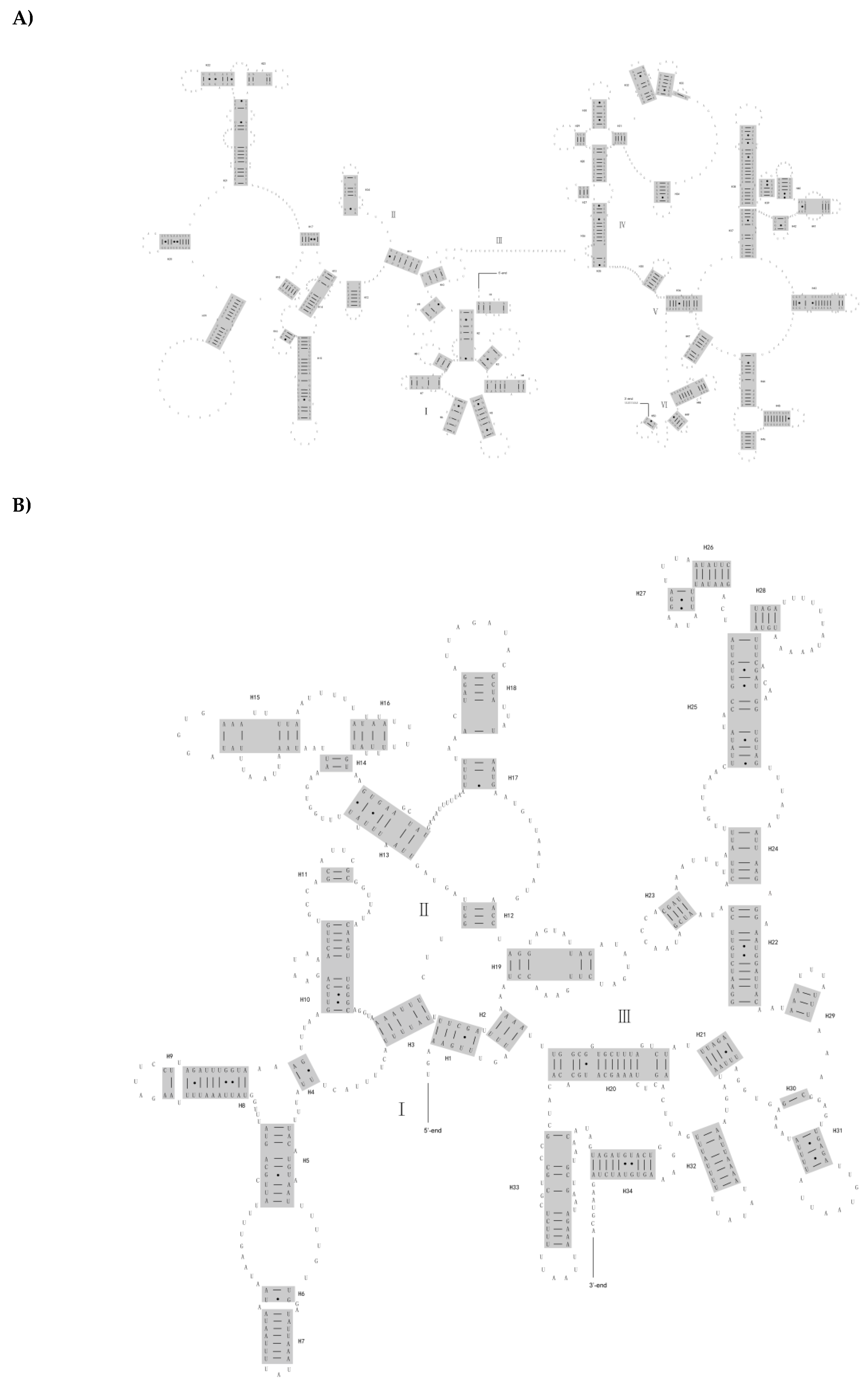 Genes 10 00108 g002 Genes 10 00108 g002