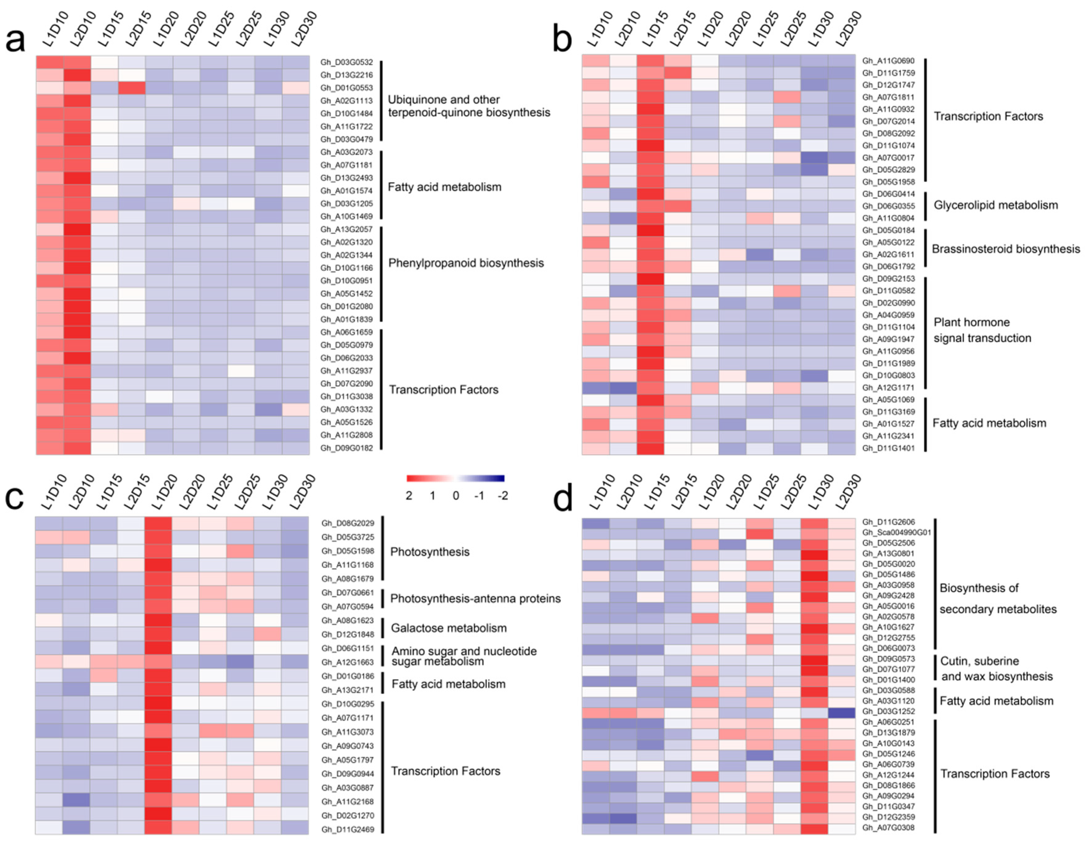 Genes 10 00119 g007 Genes 10 00119 g007