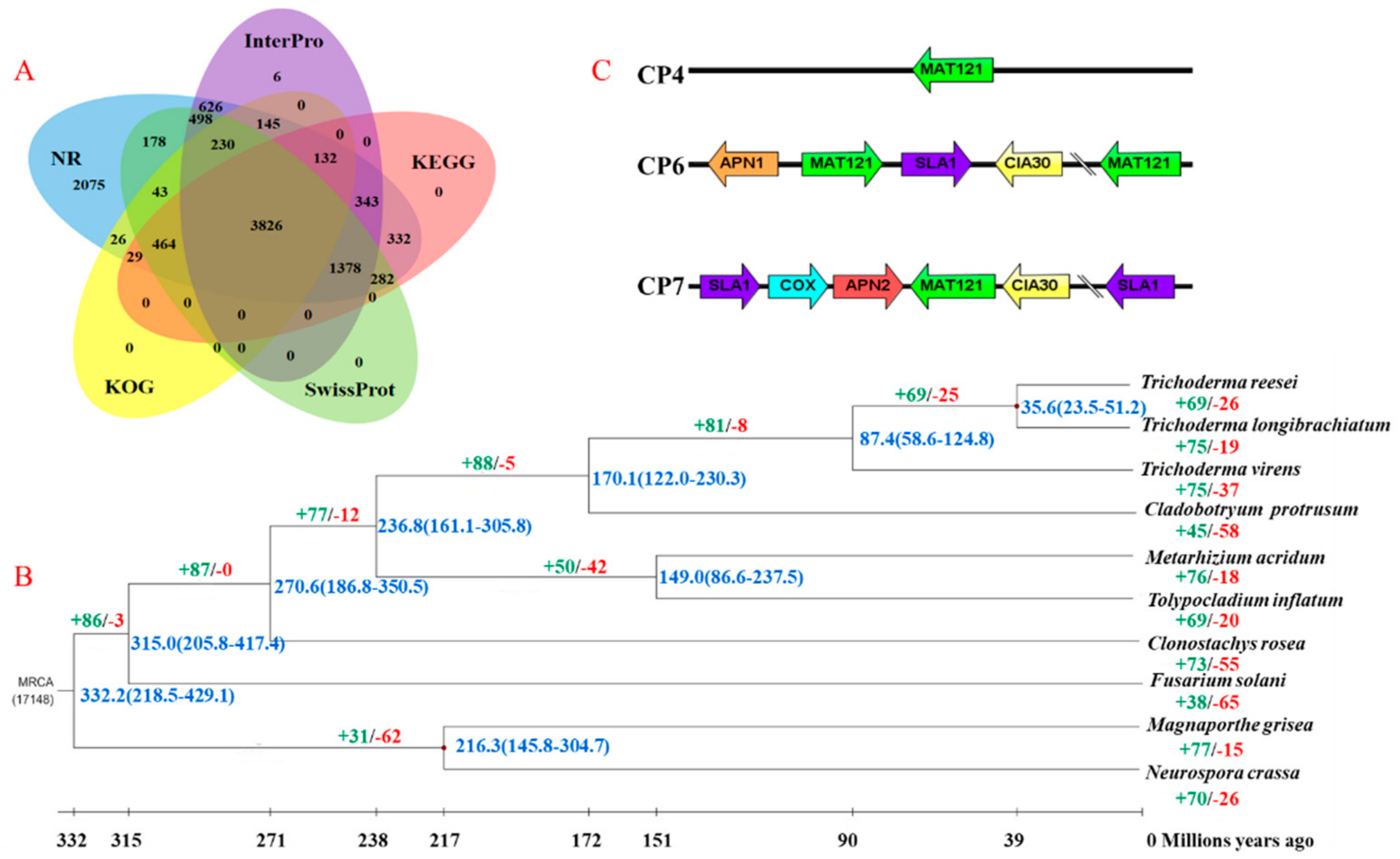 Genes 10 00124 g001