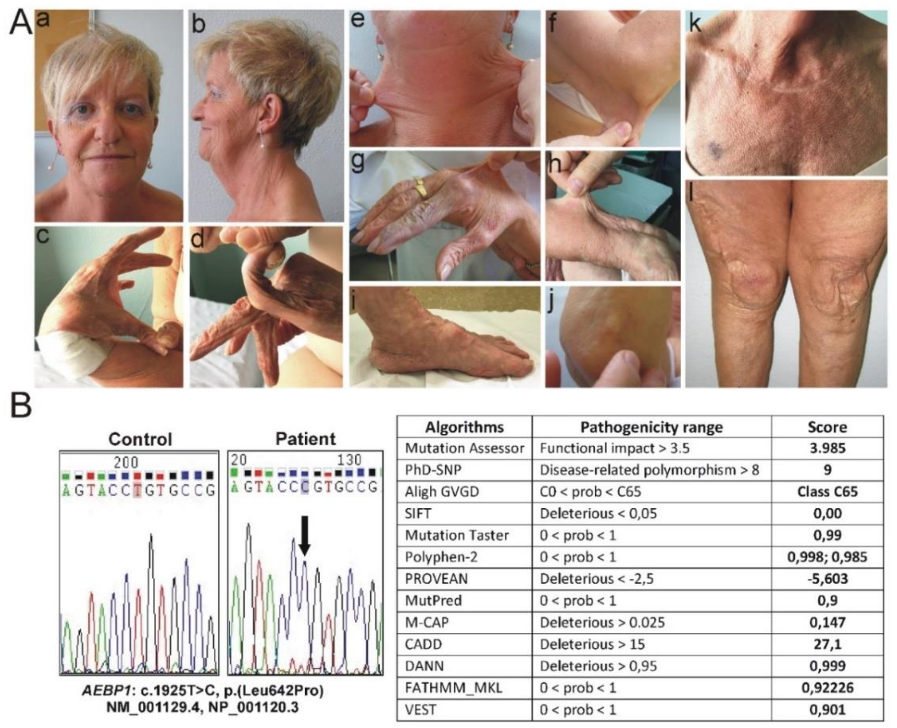 Genes 10 00135 g001 Genes 10 00135 g001