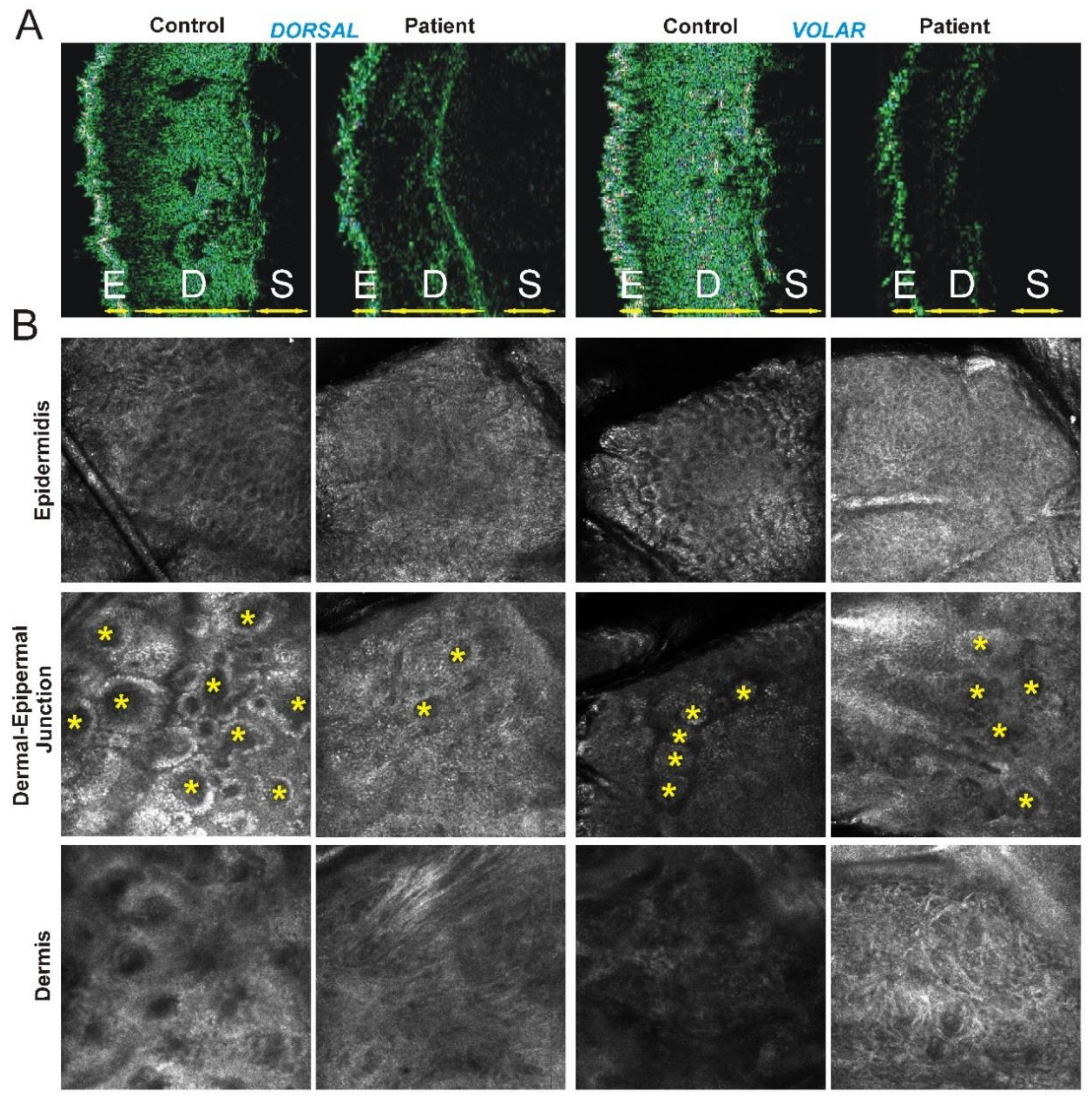 Genes 10 00135 g002 Genes 10 00135 g002