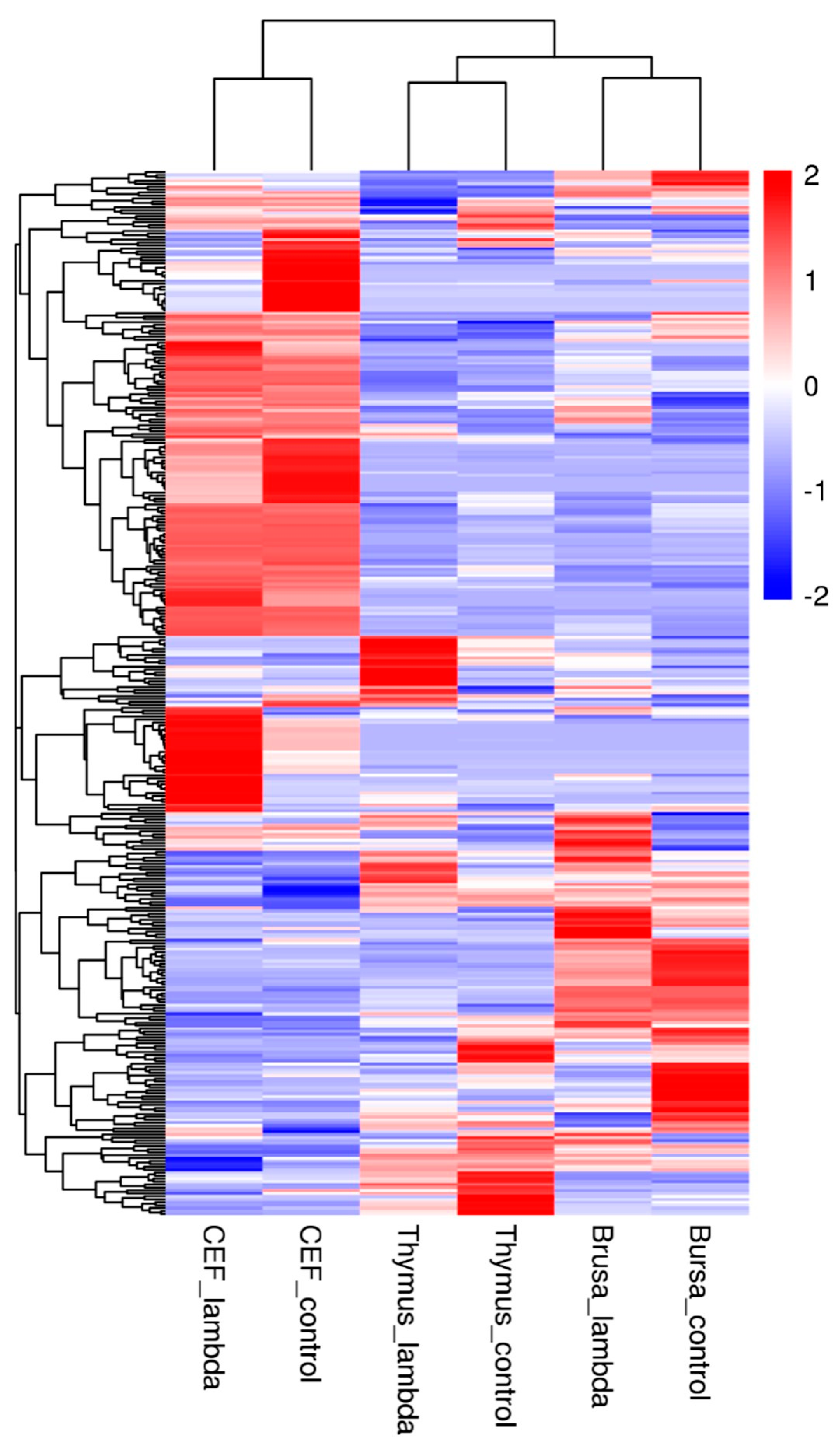 Genes 10 00145 g003