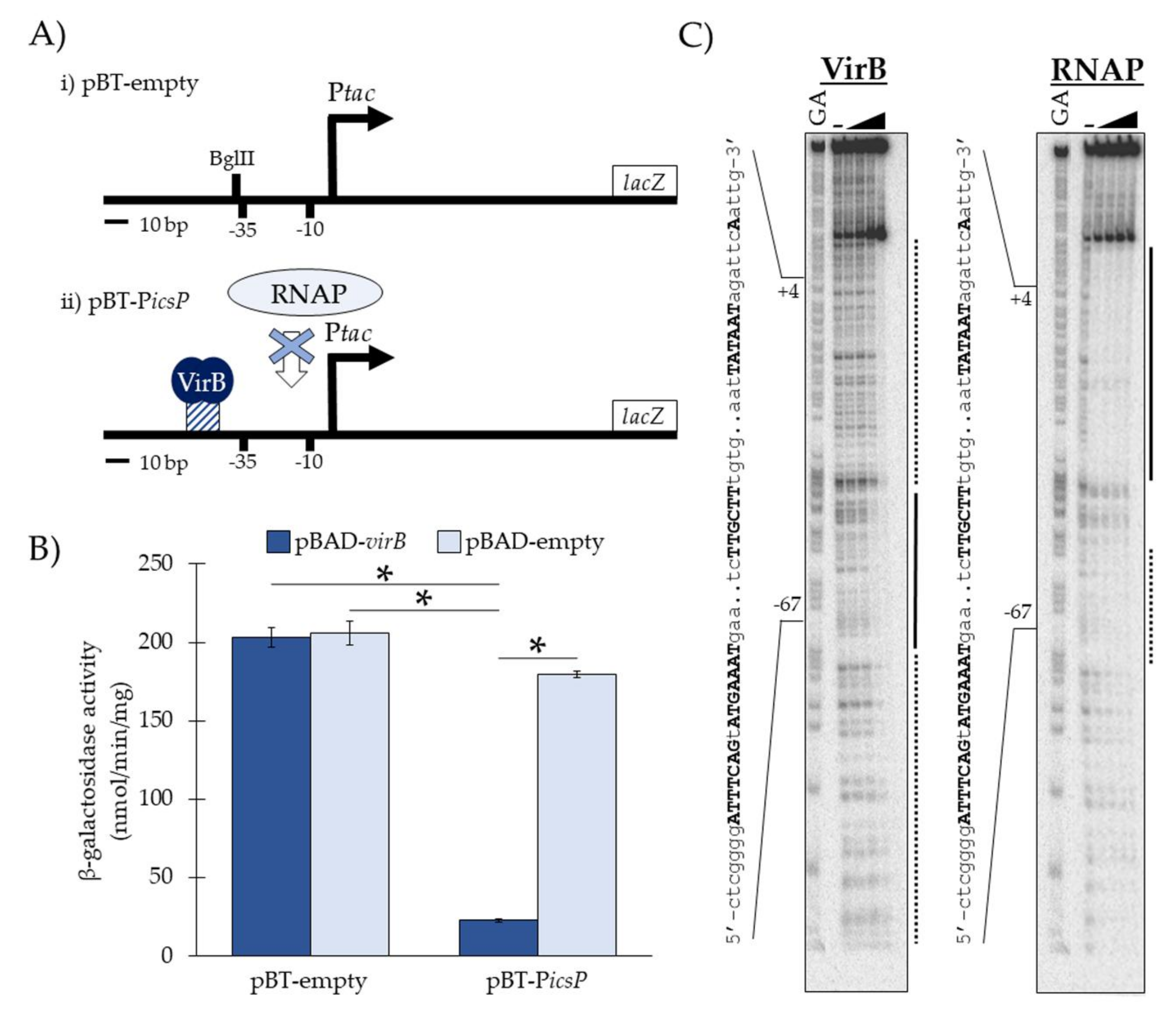 Genes 10 00149 g001