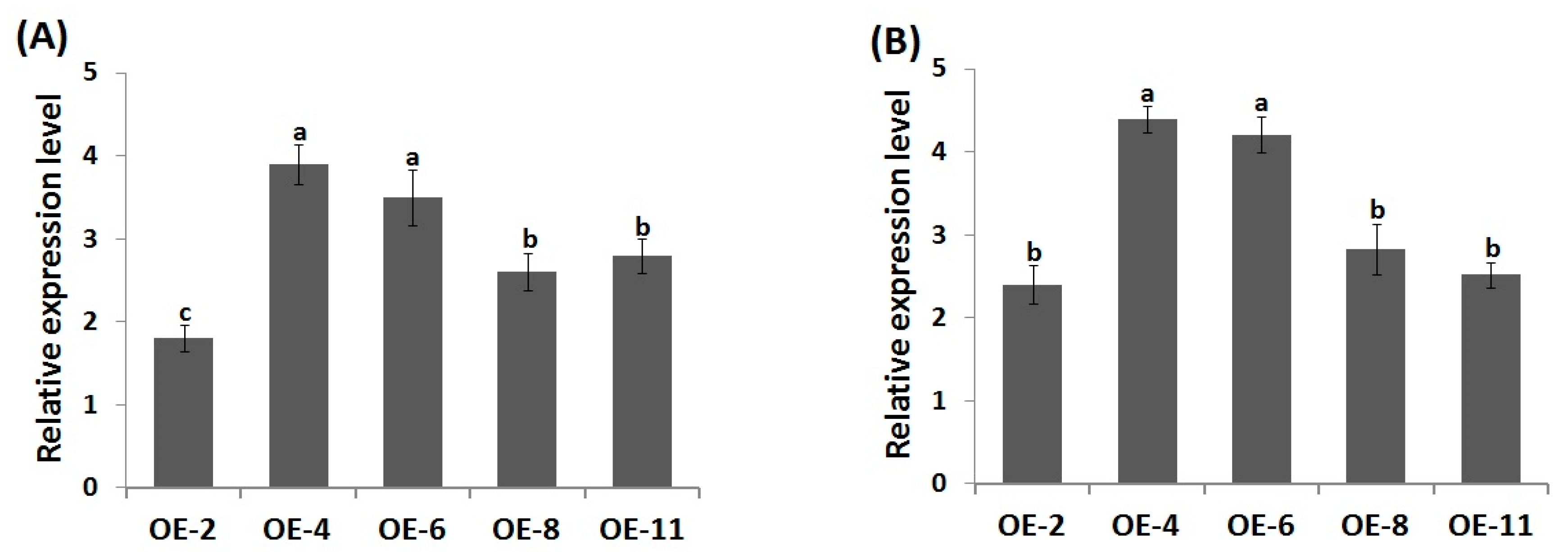 Genes 10 00163 g001