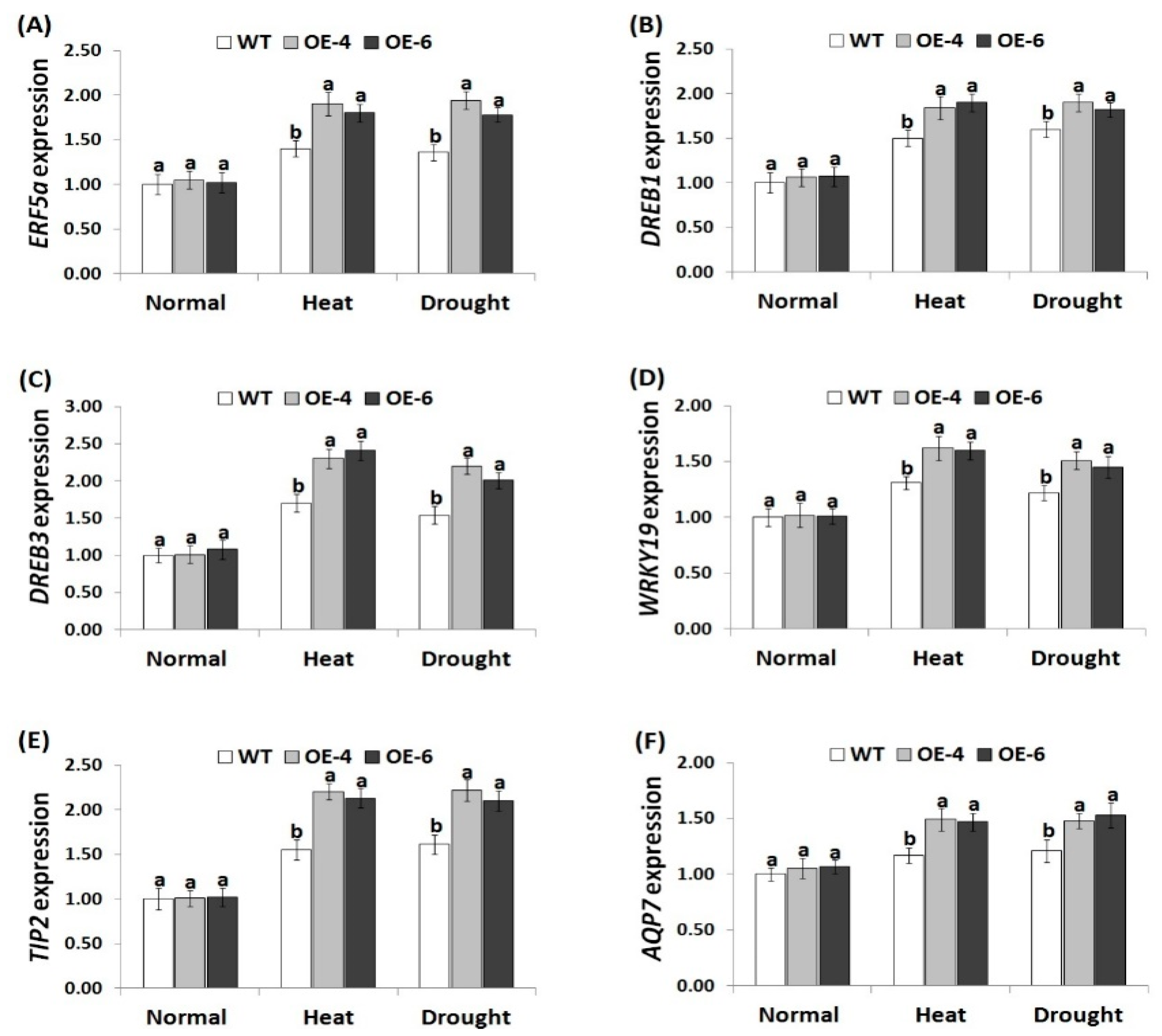 Genes 10 00163 g007