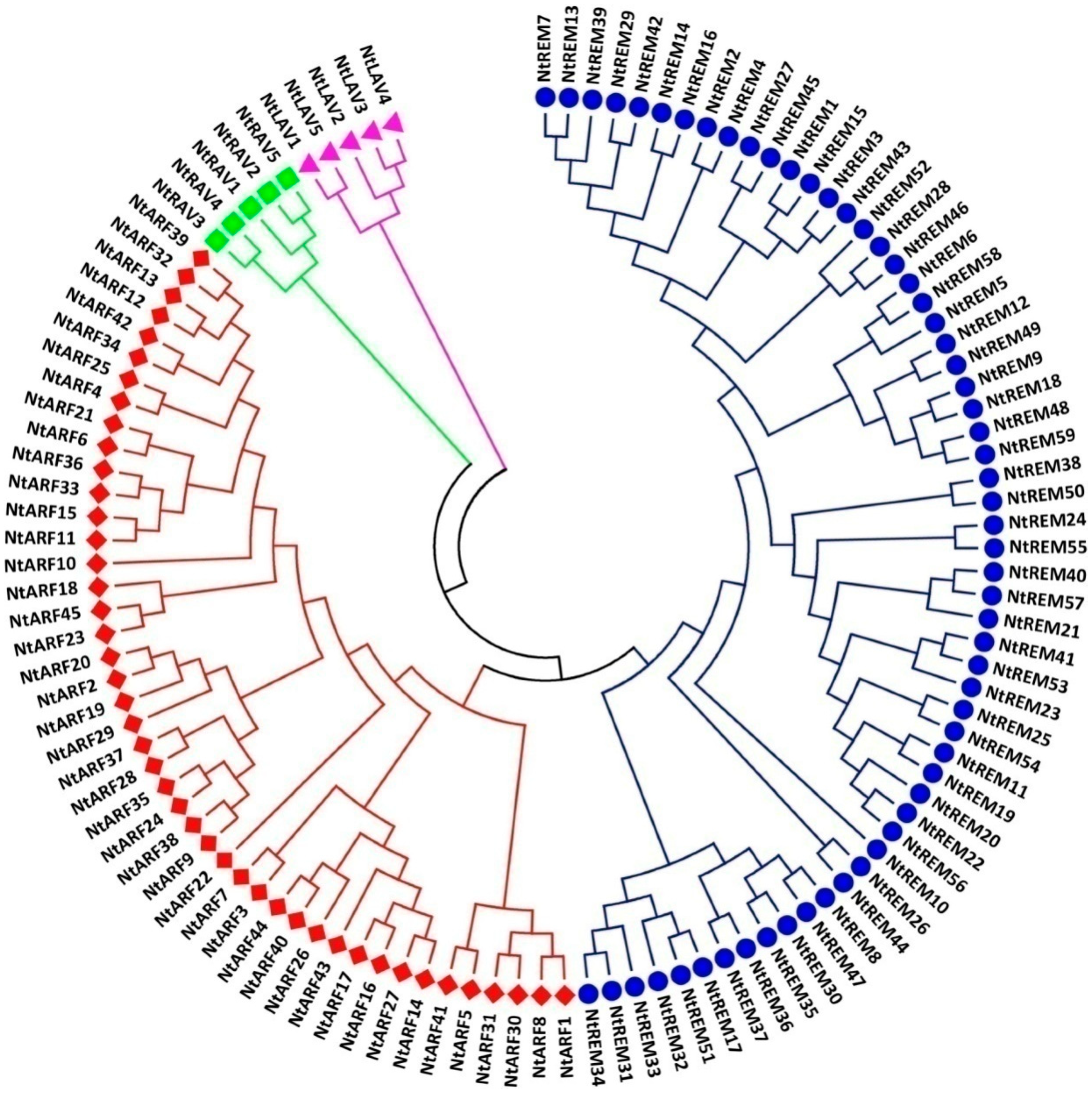Genes 10 00164 g001 Genes 10 00164 g001