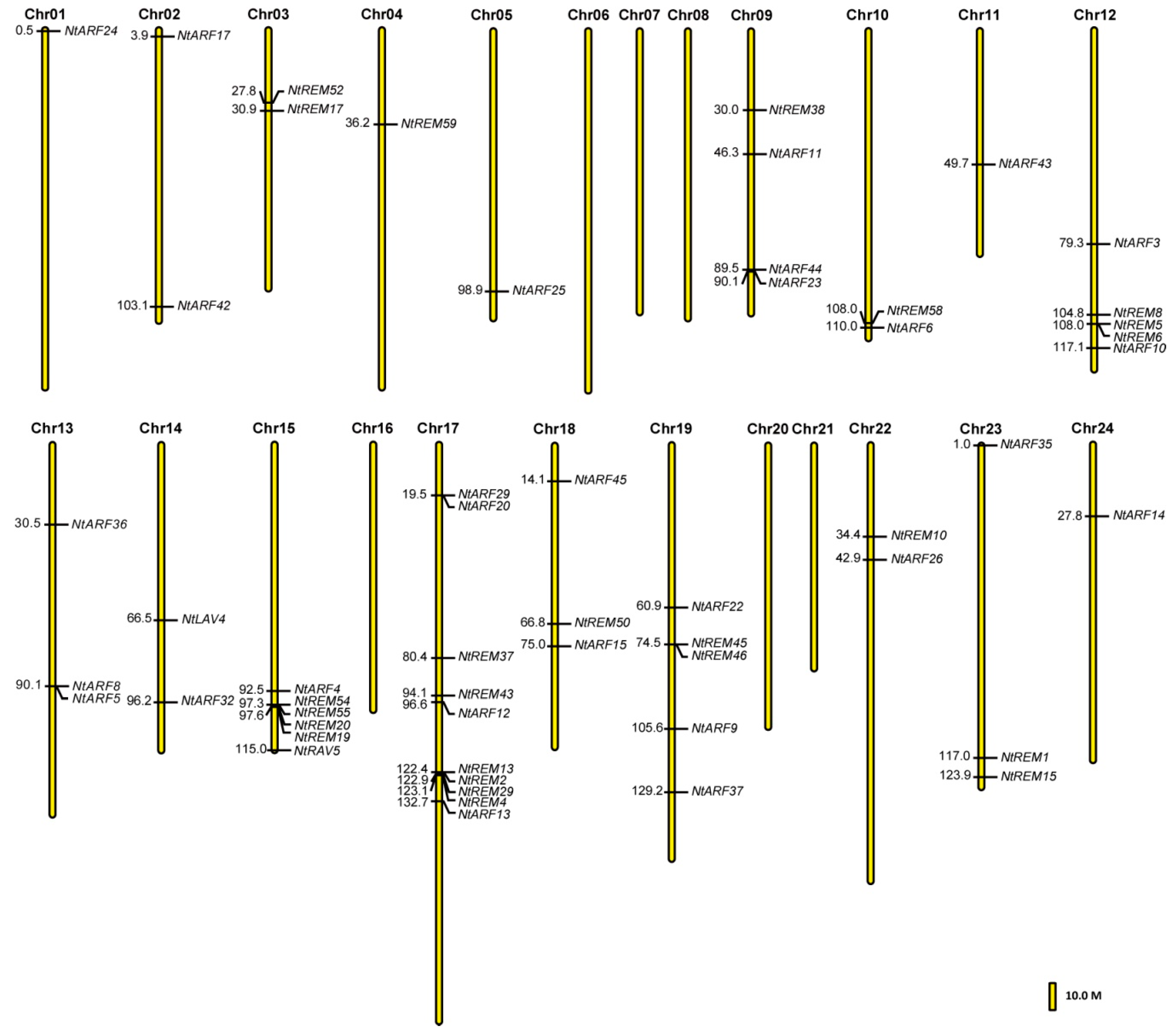 Genes 10 00164 g002 Genes 10 00164 g002