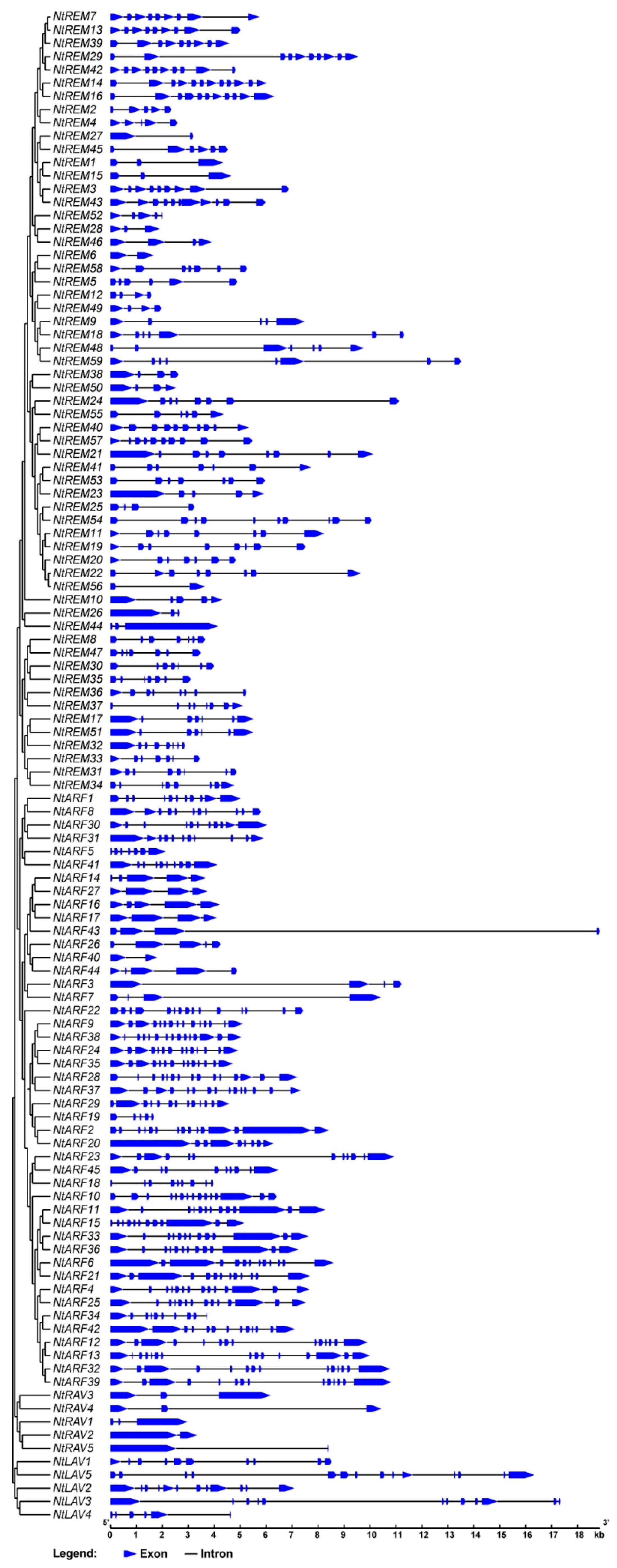 Genes 10 00164 g003 Genes 10 00164 g003