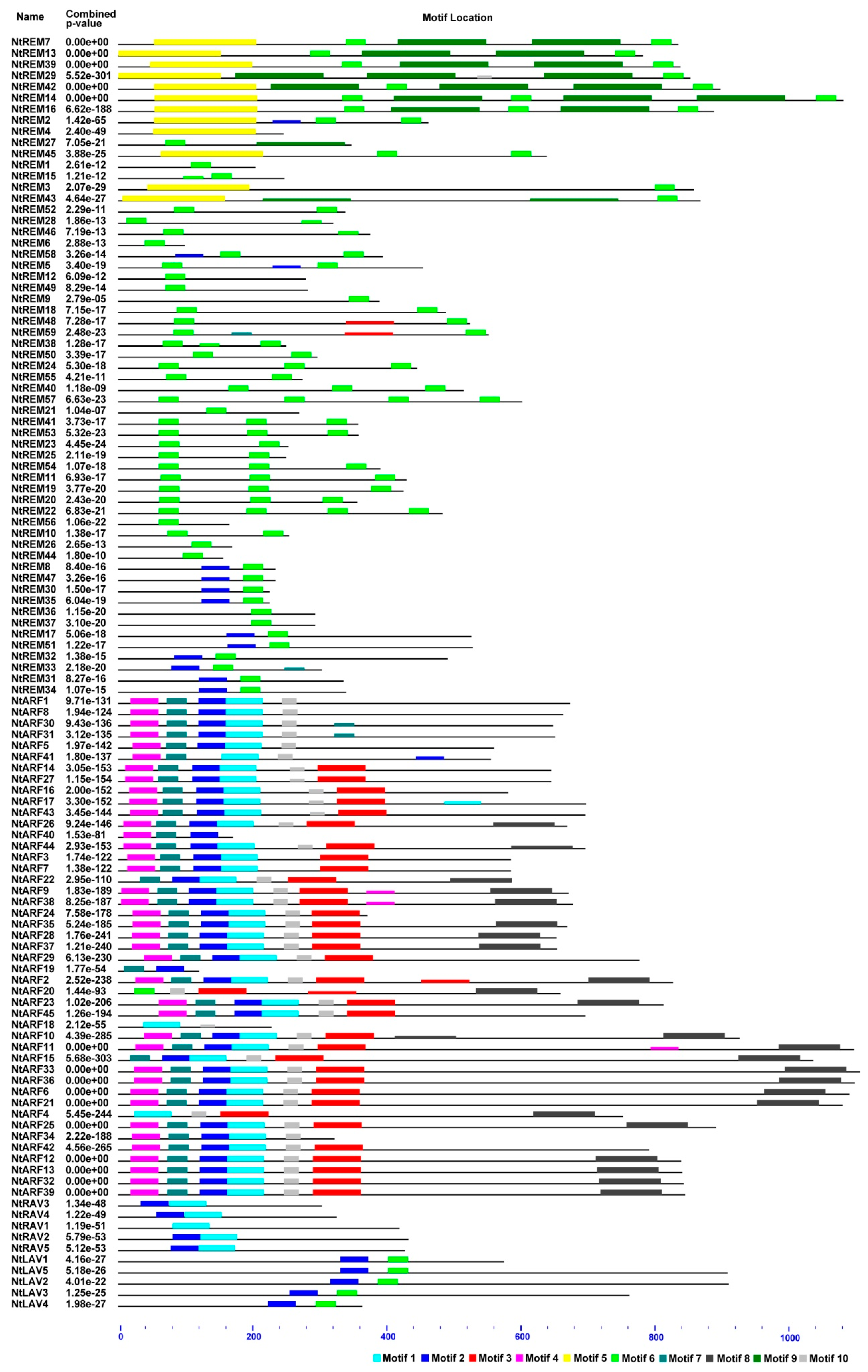 Genes 10 00164 g004 Genes 10 00164 g004