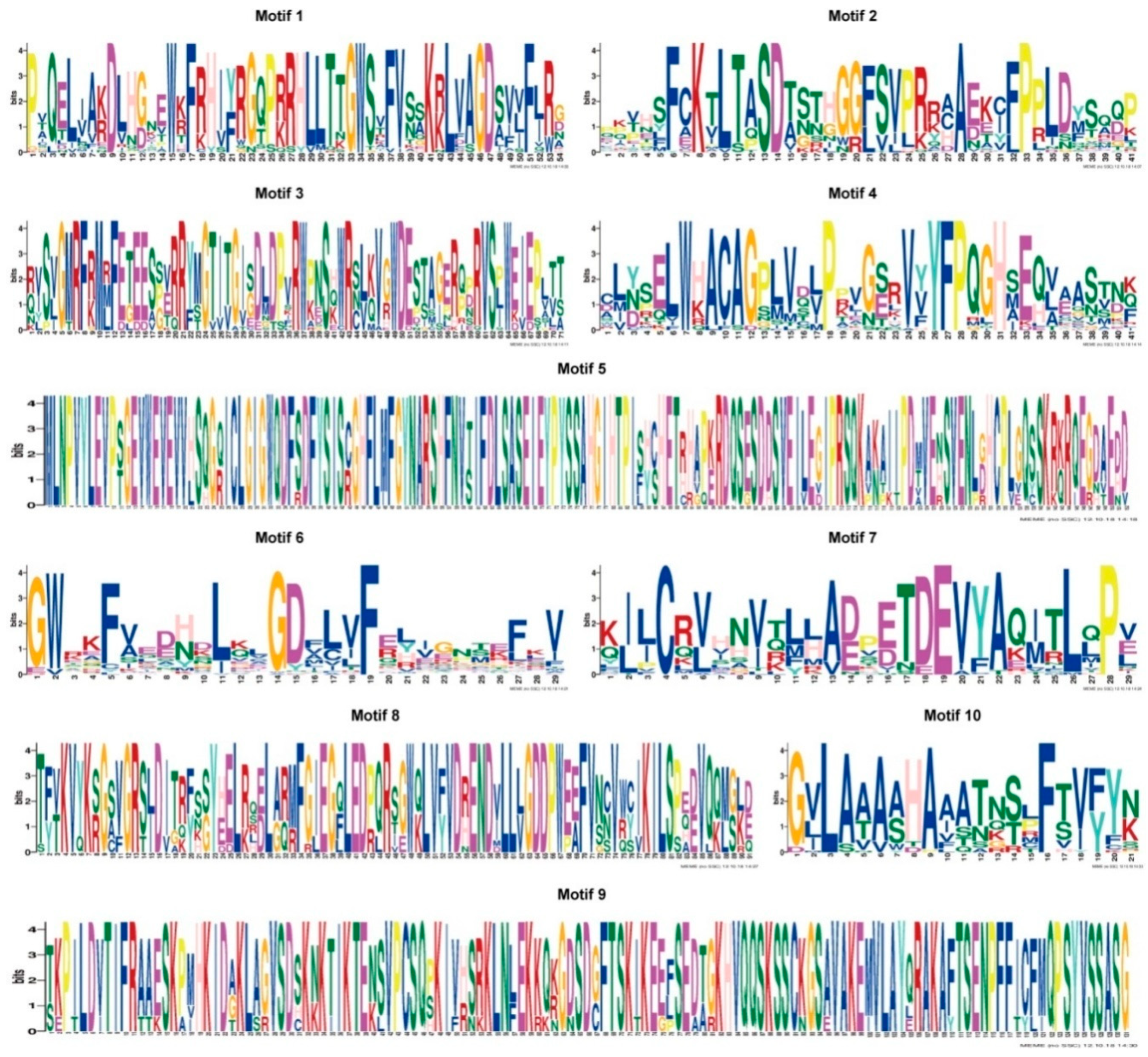 Genes 10 00164 g005 Genes 10 00164 g005