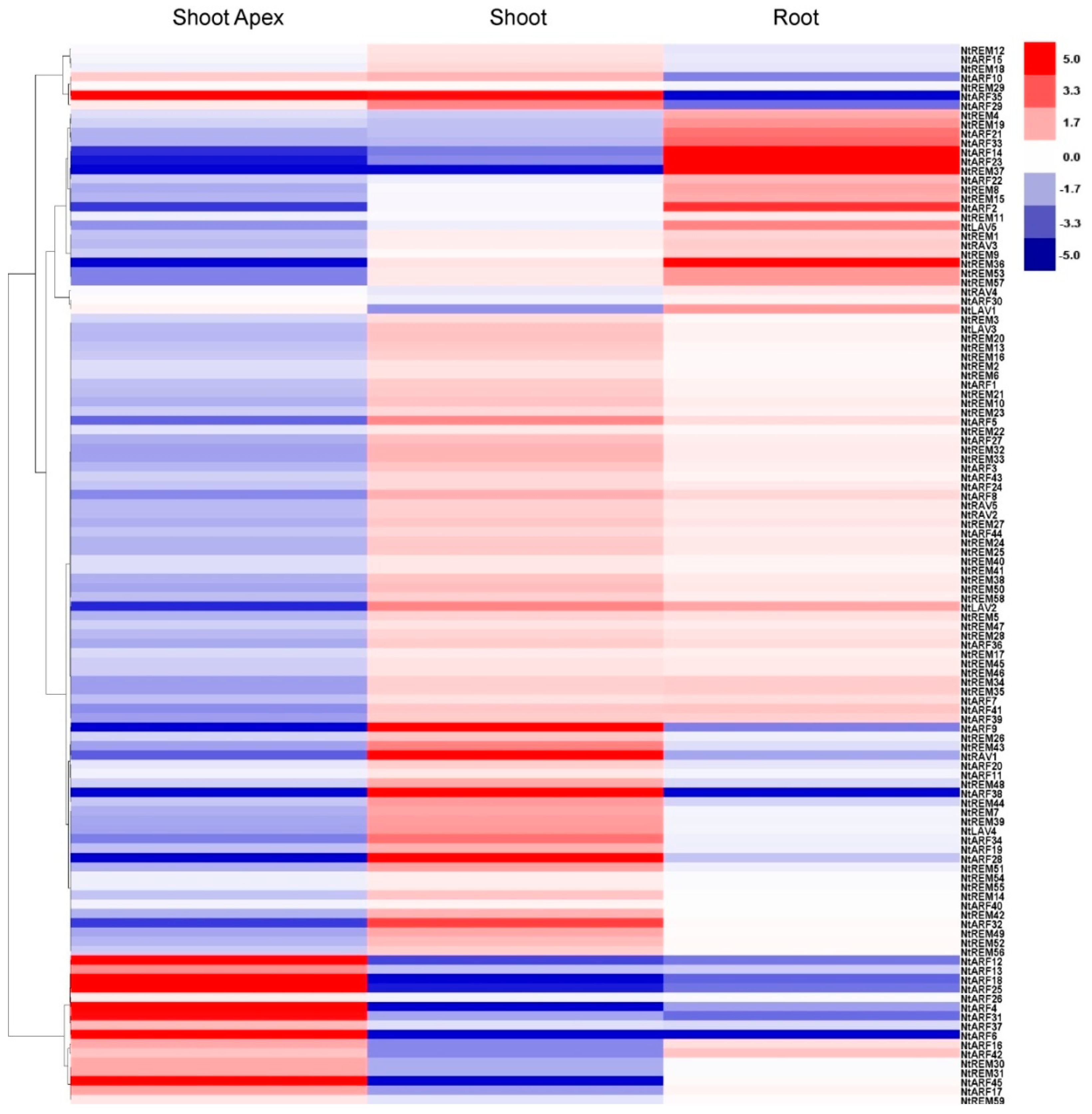 Genes 10 00164 g006 Genes 10 00164 g006