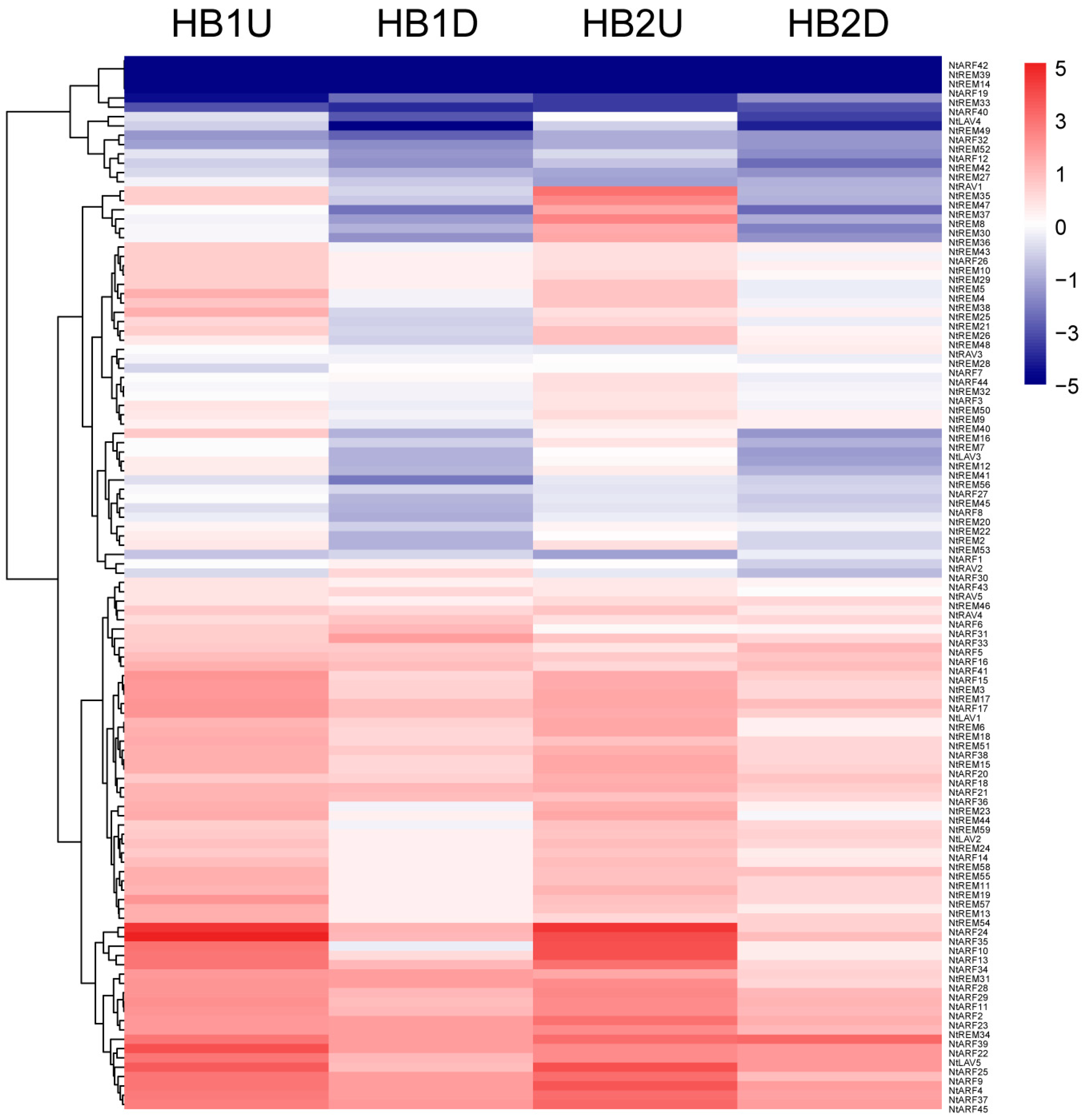 Genes 10 00164 g008 Genes 10 00164 g008