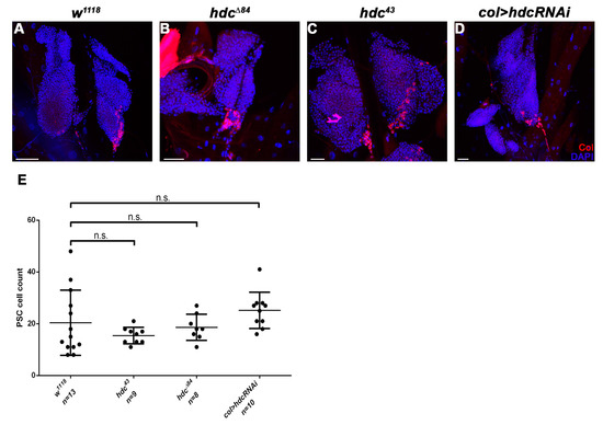Genes 10 00173 g0a2 550