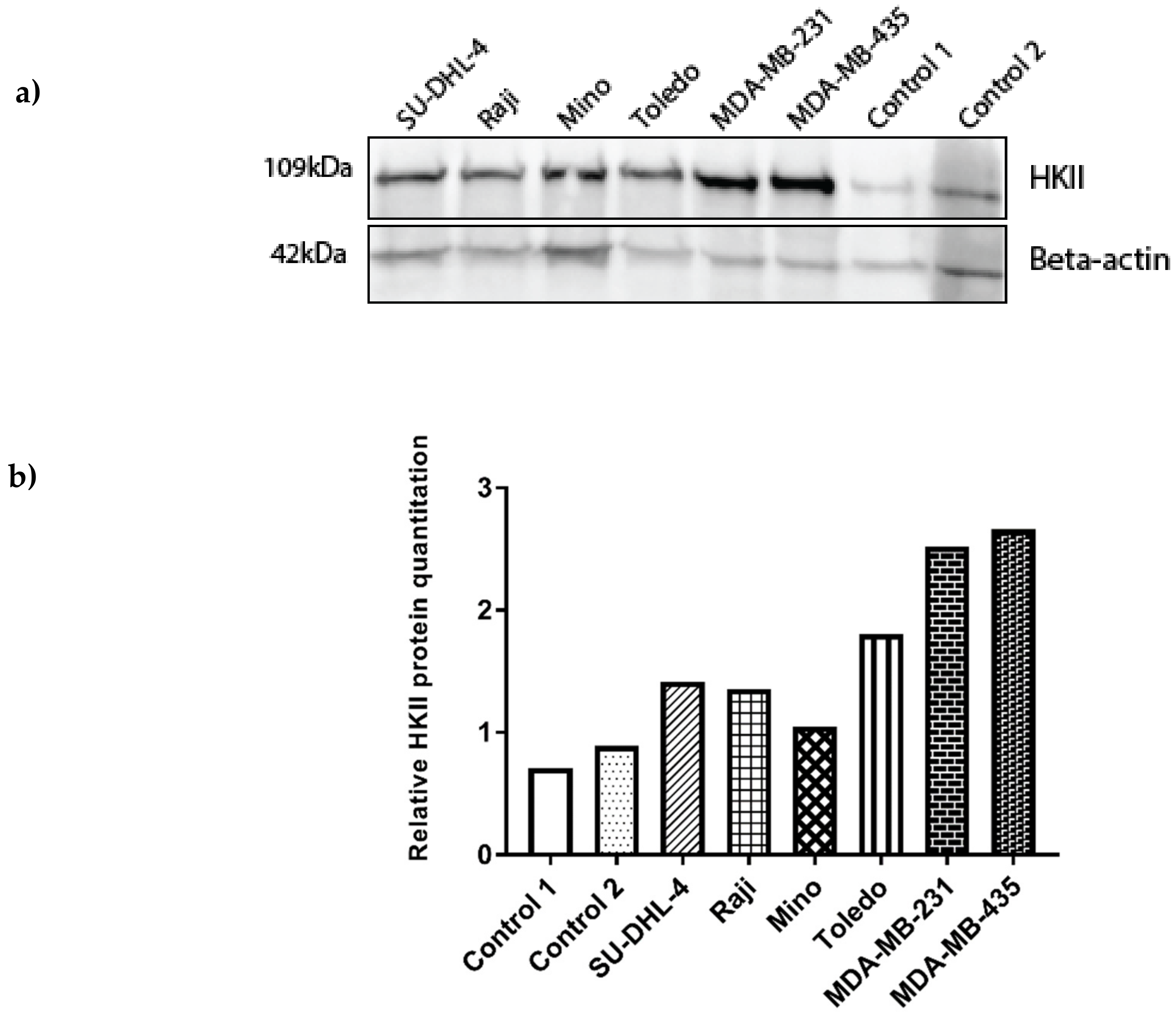 Genes 10 00185 g003 Genes 10 00185 g003