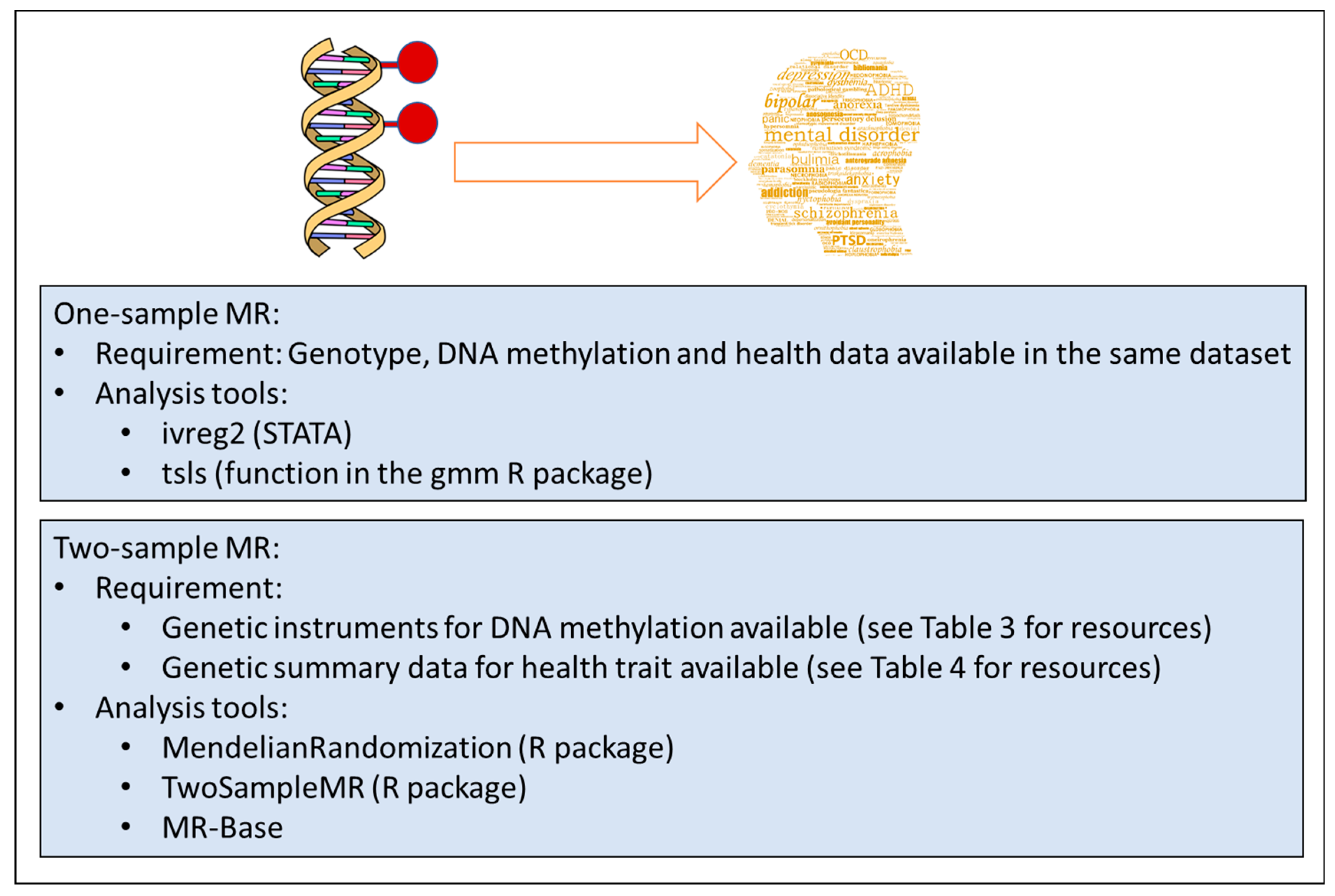 Genes 10 00193 g001