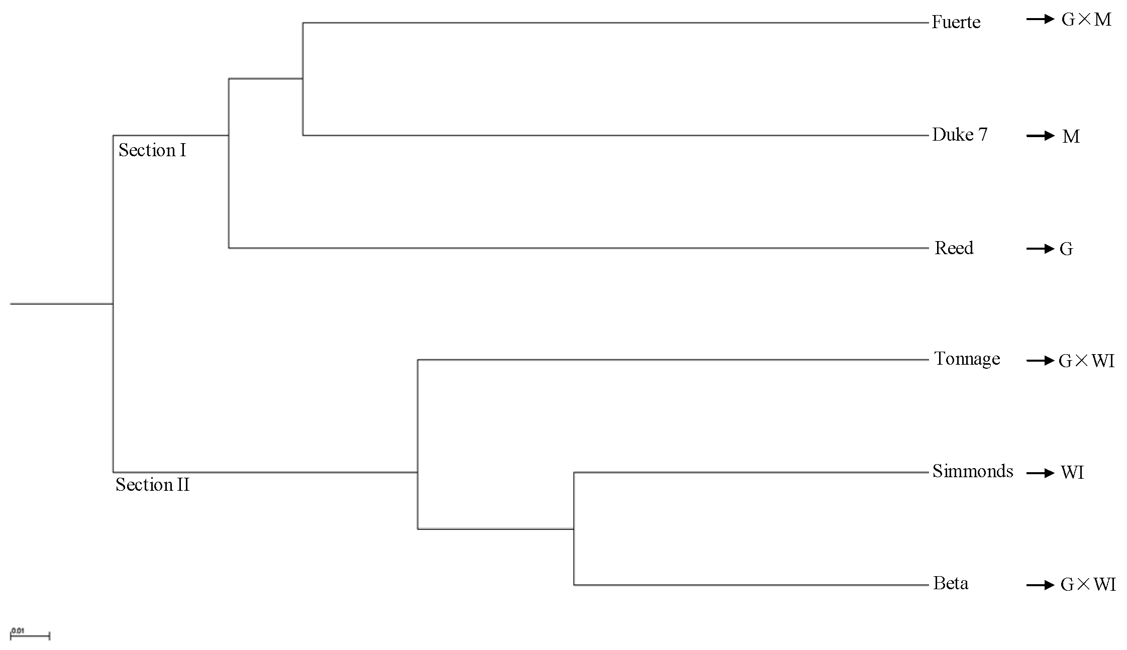 Genes 10 00215 g004 Genes 10 00215 g004