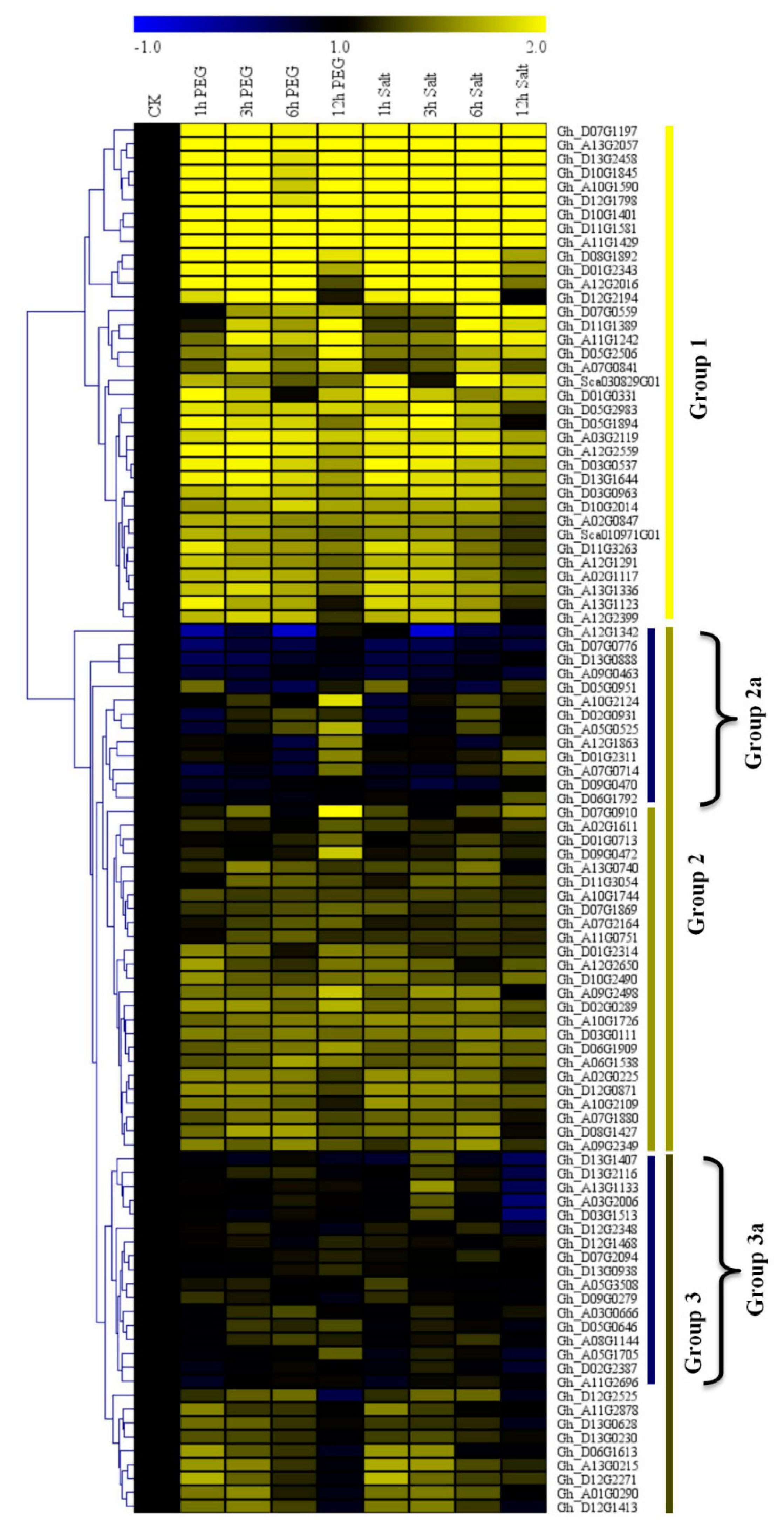 Genes 10 00226 g001 Genes 10 00226 g001