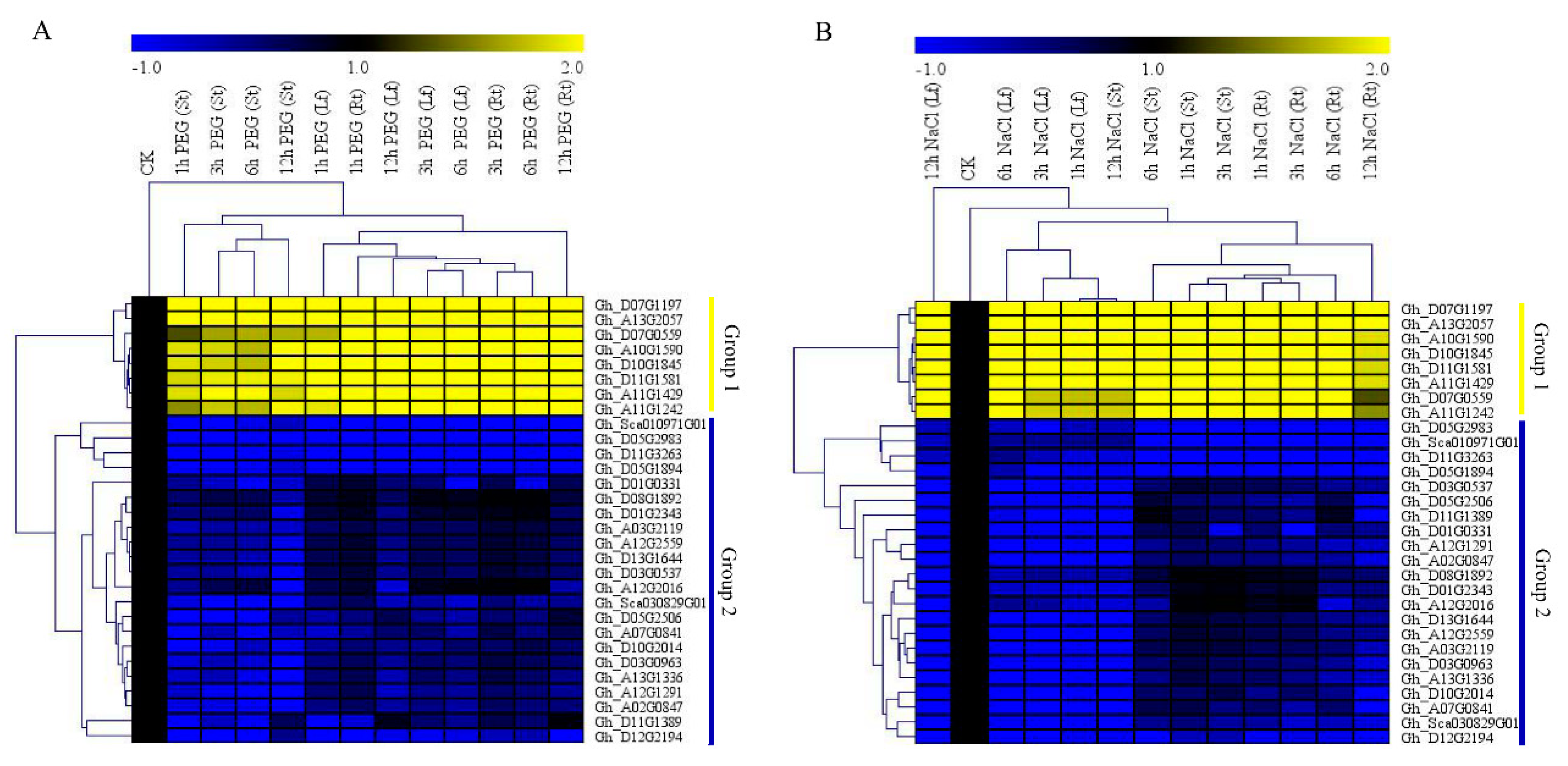 Genes 10 00226 g002 Genes 10 00226 g002