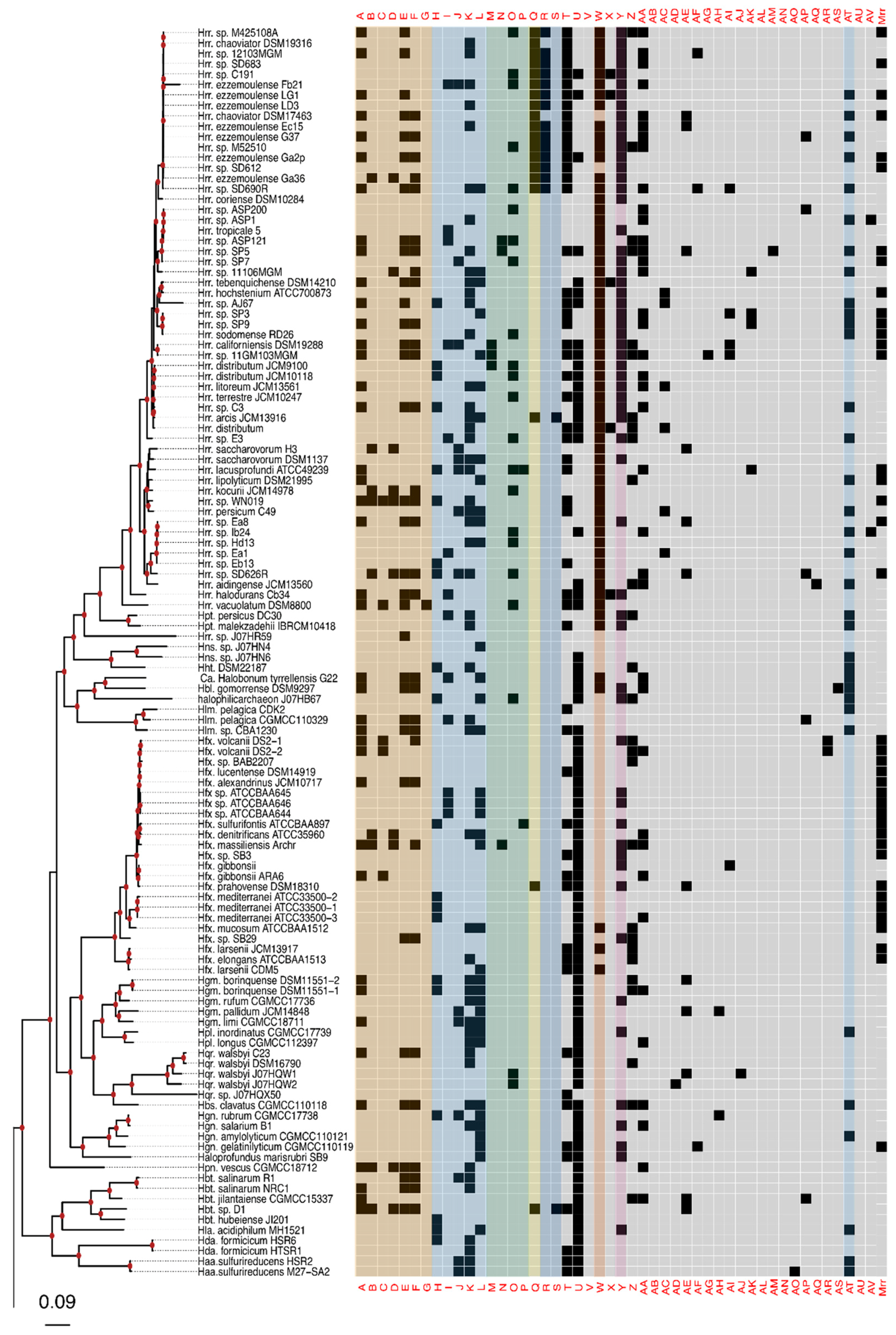 Genes 10 00233 g002a