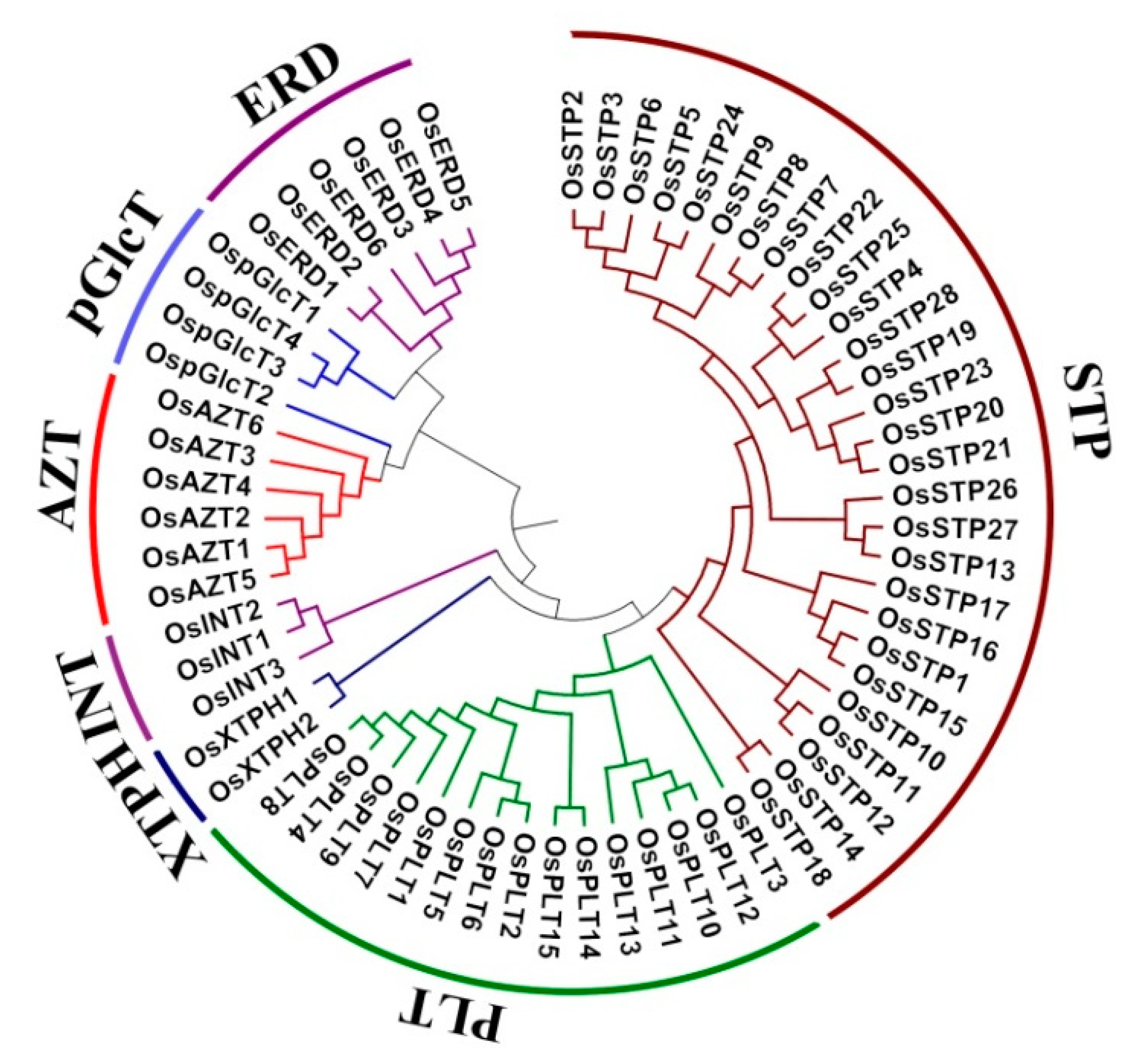 Genes 10 00239 g001 Genes 10 00239 g001