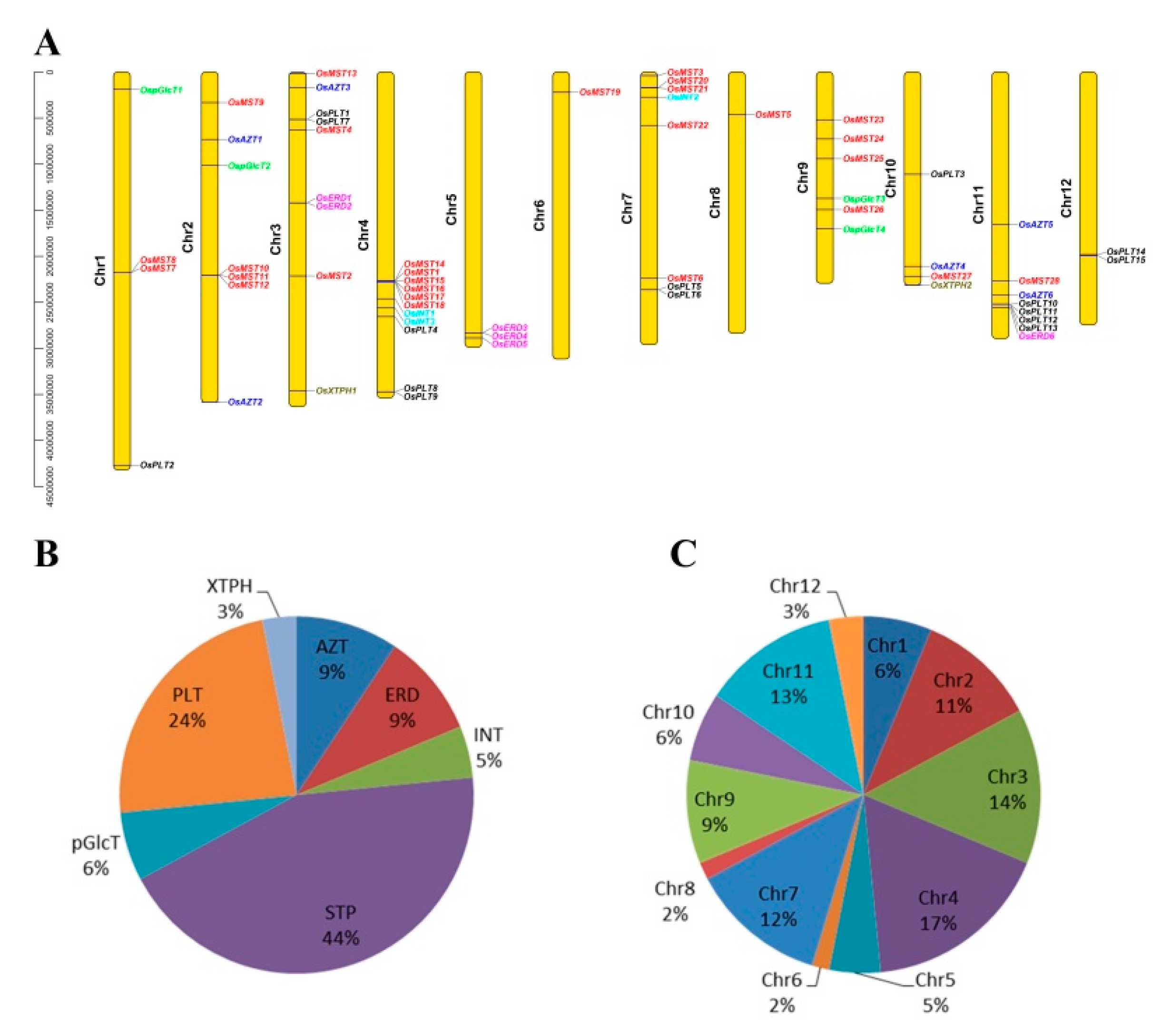 Genes 10 00239 g002 Genes 10 00239 g002