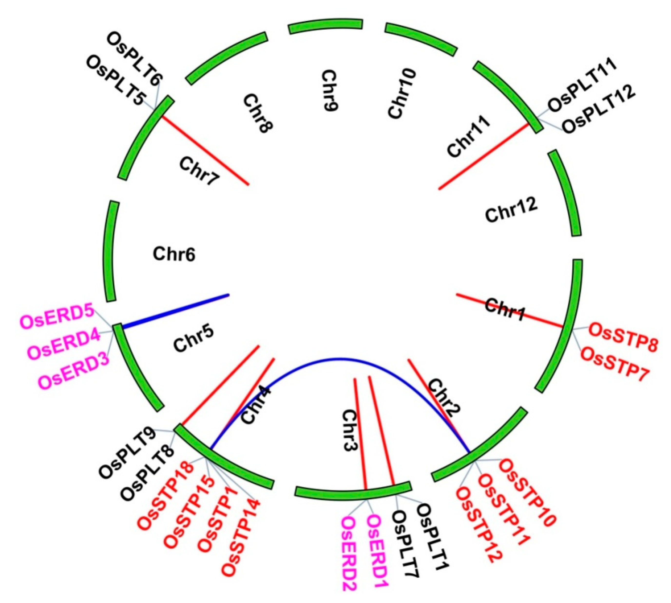 Genes 10 00239 g003 Genes 10 00239 g003