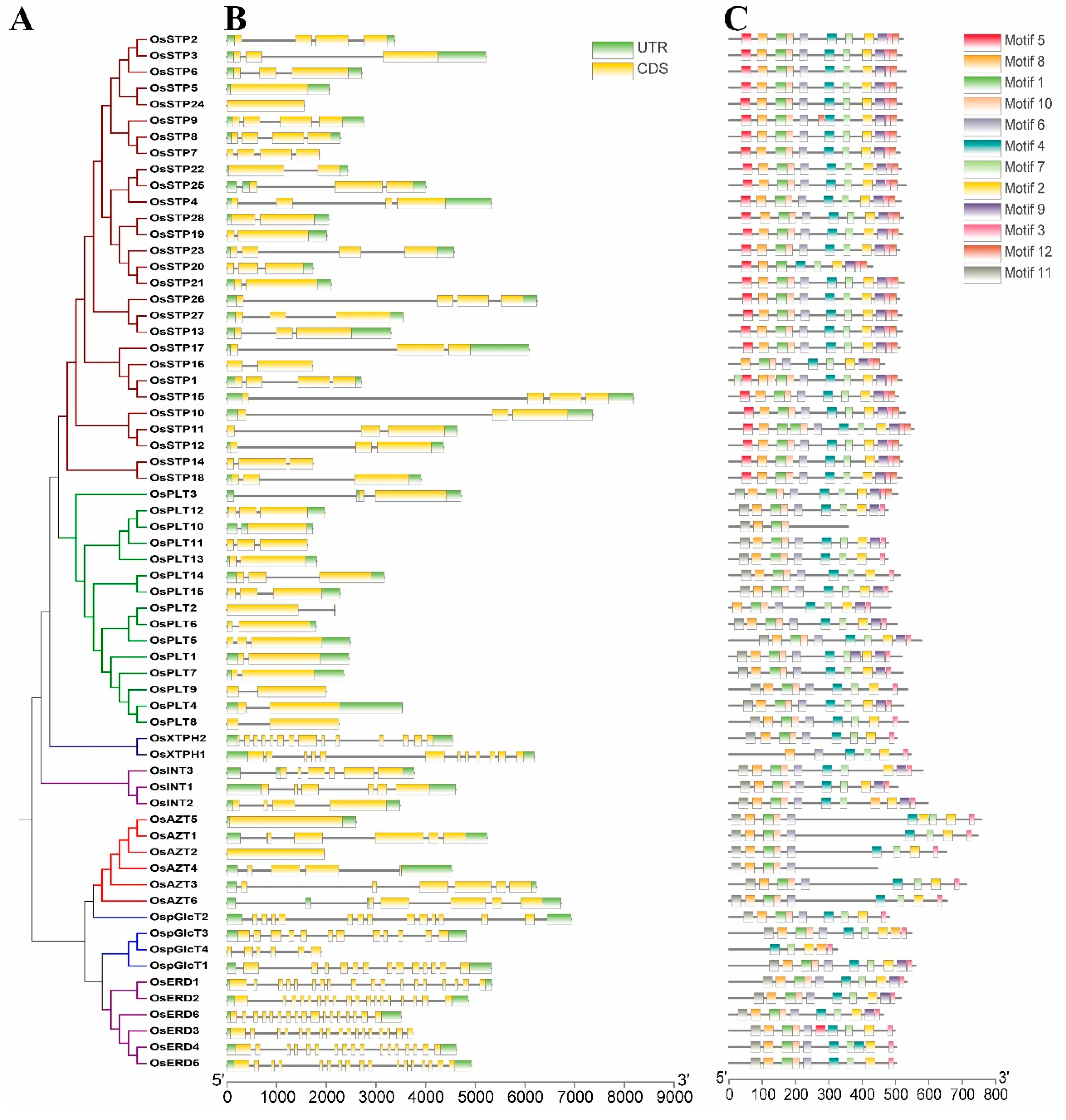 Genes 10 00239 g004 Genes 10 00239 g004
