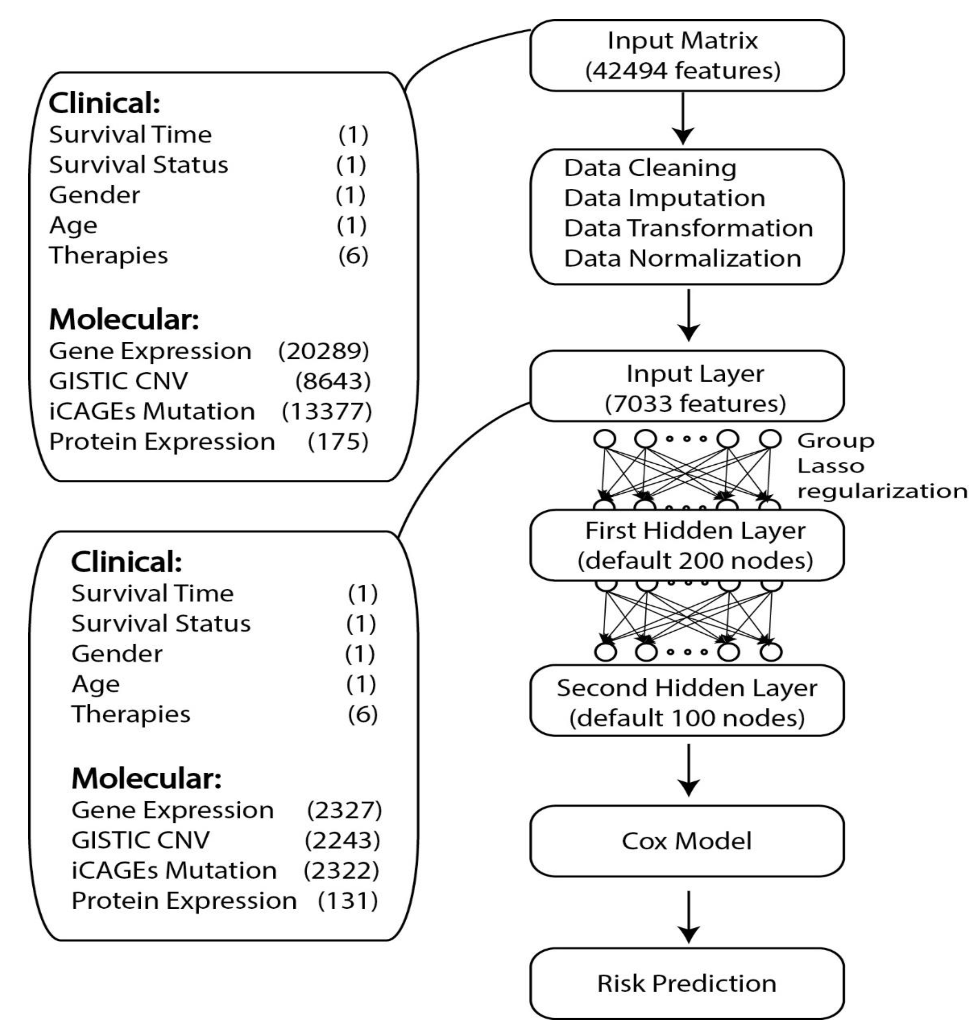 Genes 10 00240 g001