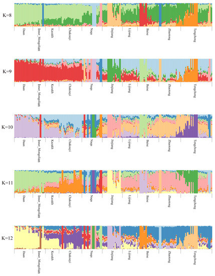 Genes 10 00241 g0a4b 550