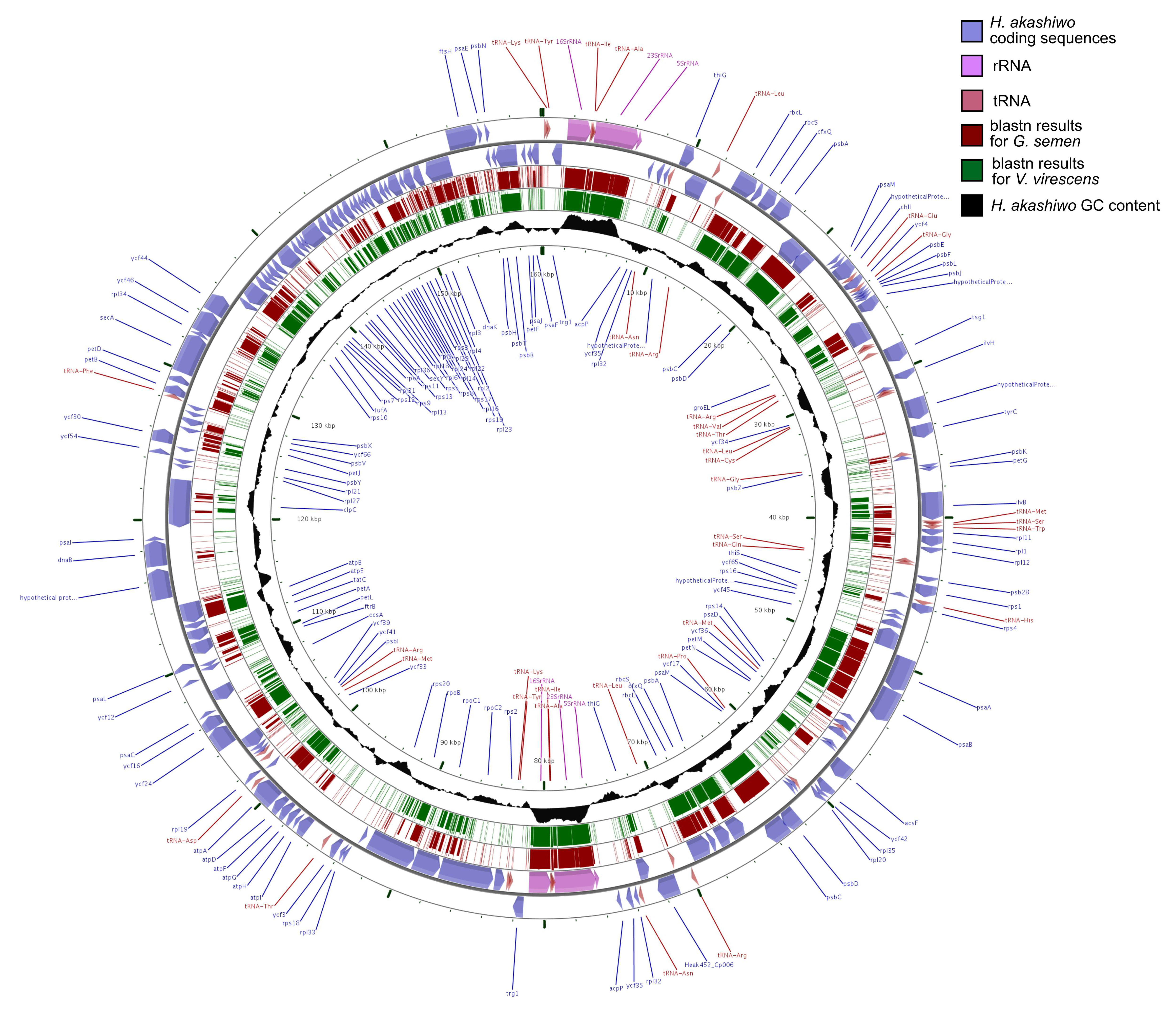 Genes 10 00245 g001 Genes 10 00245 g001