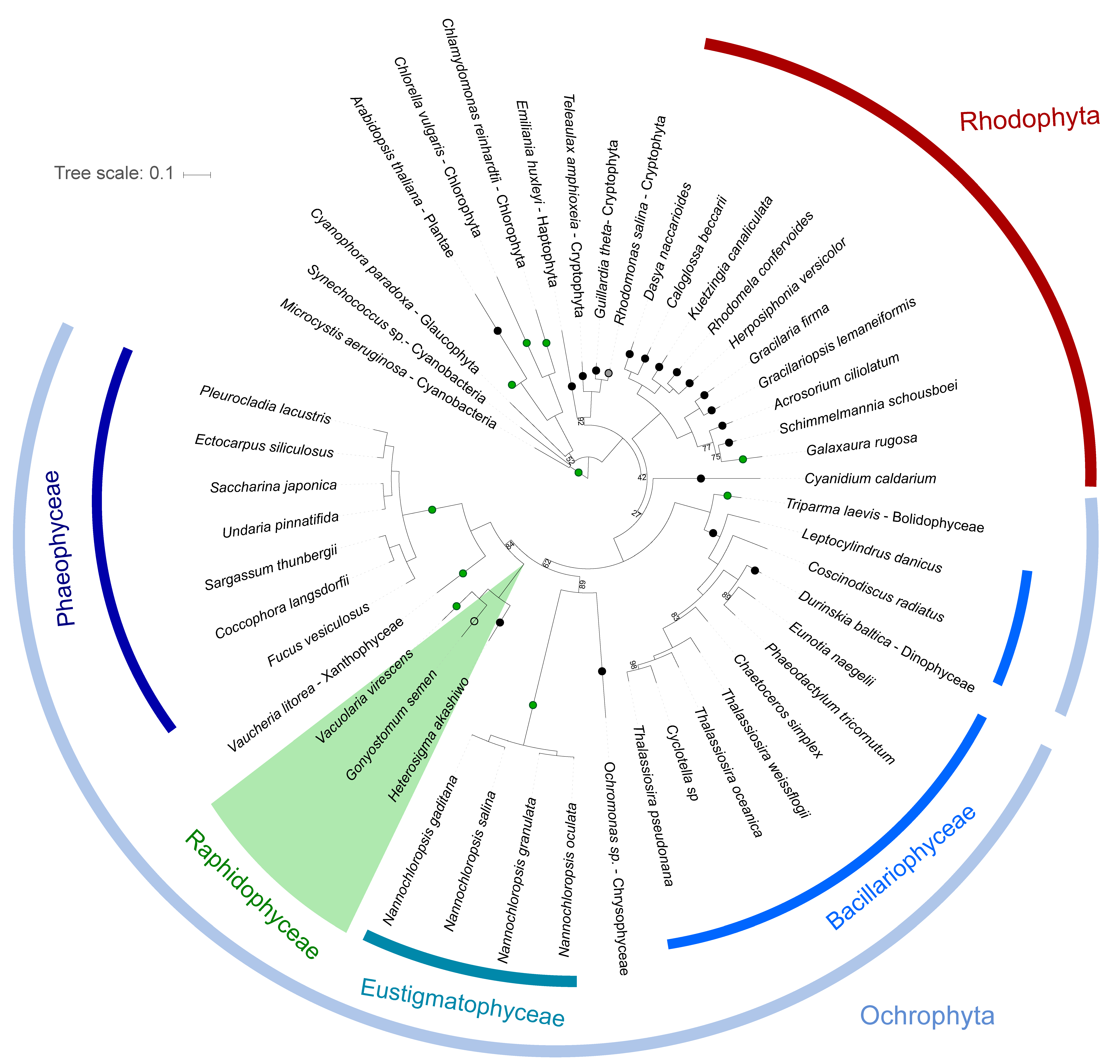 Genes 10 00245 g002 Genes 10 00245 g002