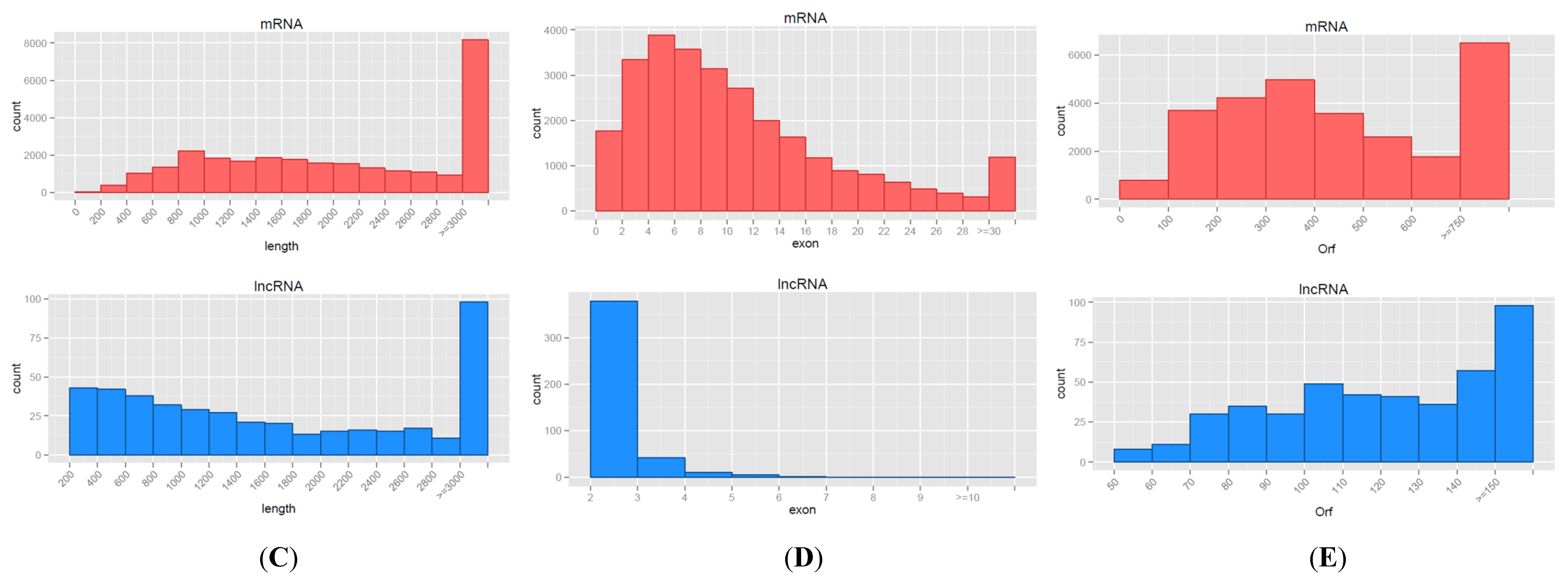 Genes 10 00266 g002b Genes 10 00266 g002b
