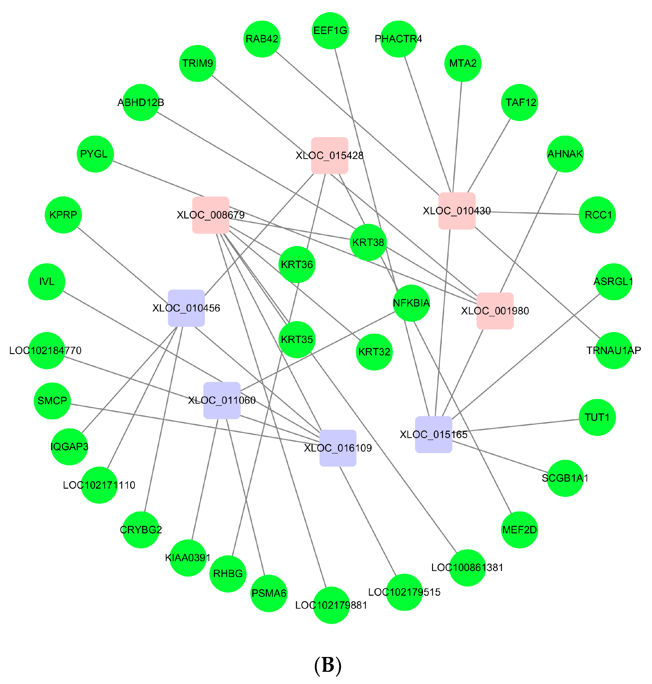 Genes 10 00266 g006b Genes 10 00266 g006b