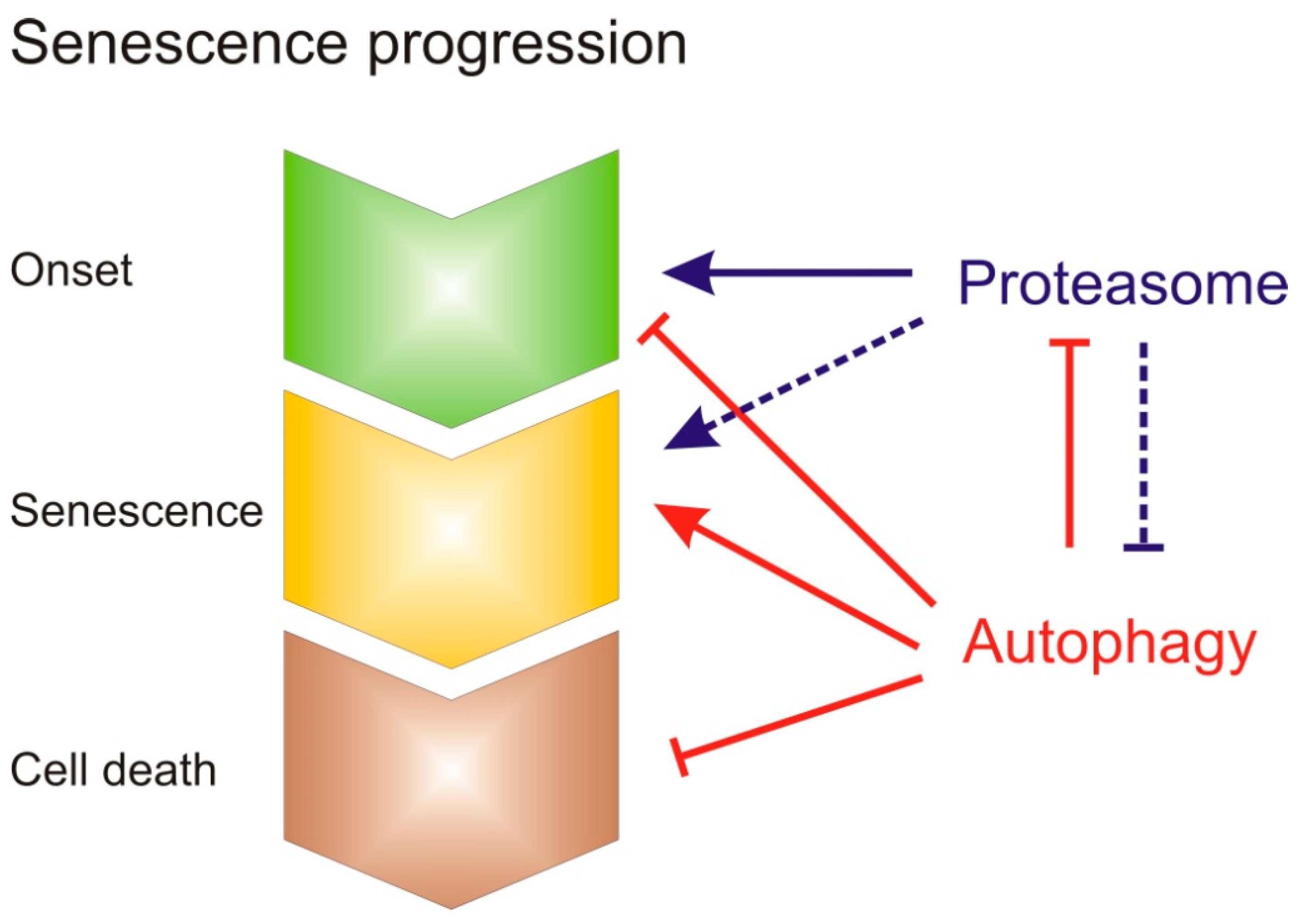 Genes 10 00267 g002