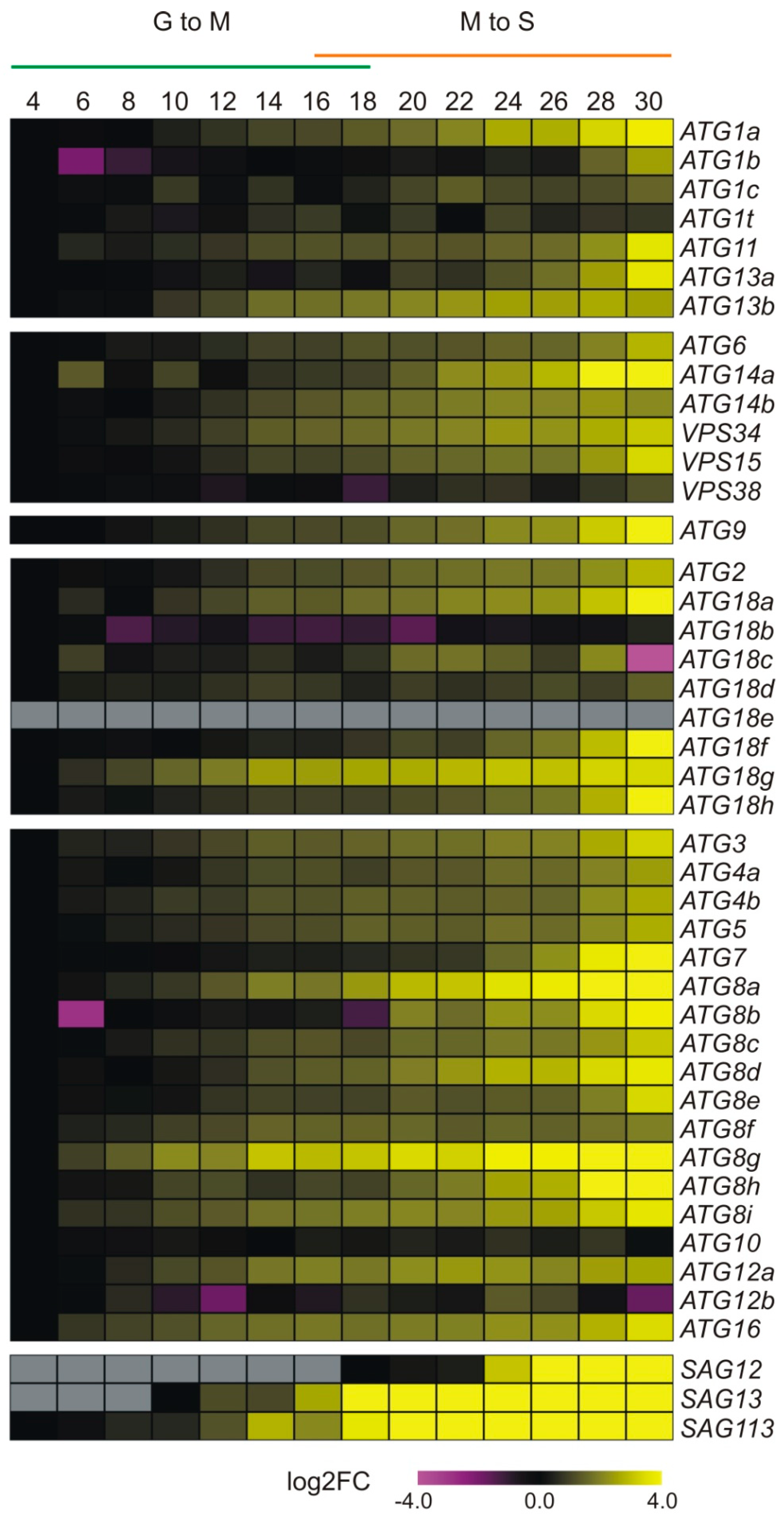 Genes 10 00267 g003